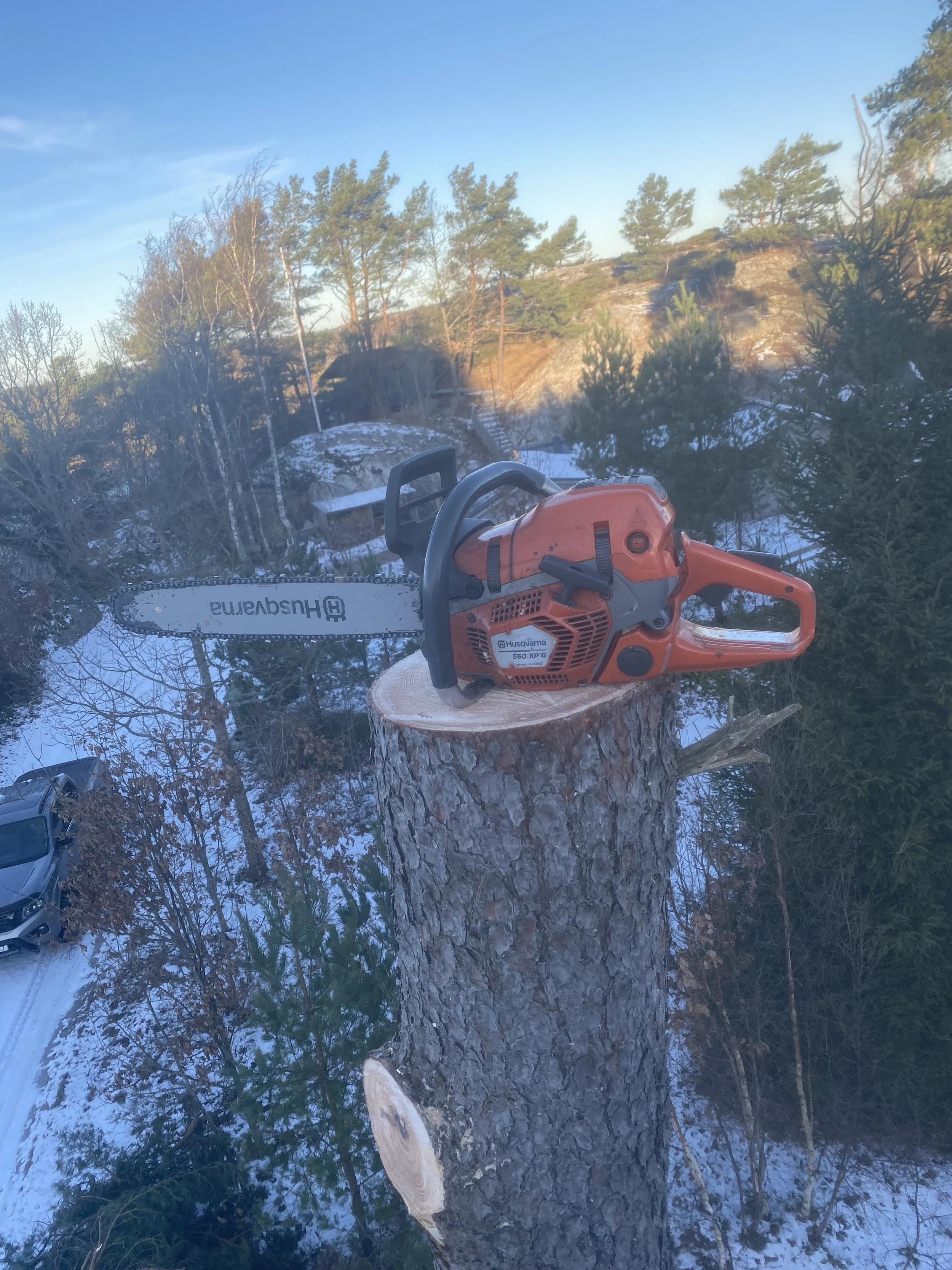 A chainsaw placed on top of a cut tree trunk in a winter forest setting.