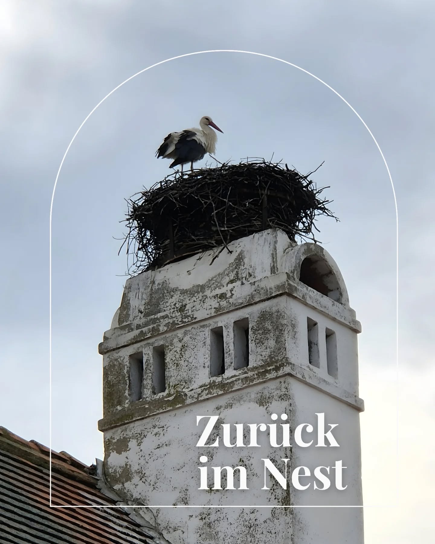 Unser Storch ist wieder zur&uuml;ck!
Und rund ums Alte Brauhaus tut sich auch schon einiges!

W&auml;hrend unser Storch flei&szlig;ig an seinem Nest arbeitet, laufen bei uns die Vorbereitungen ebenfalls auf Hochtouren &ndash; Schritt f&uuml;r Schritt