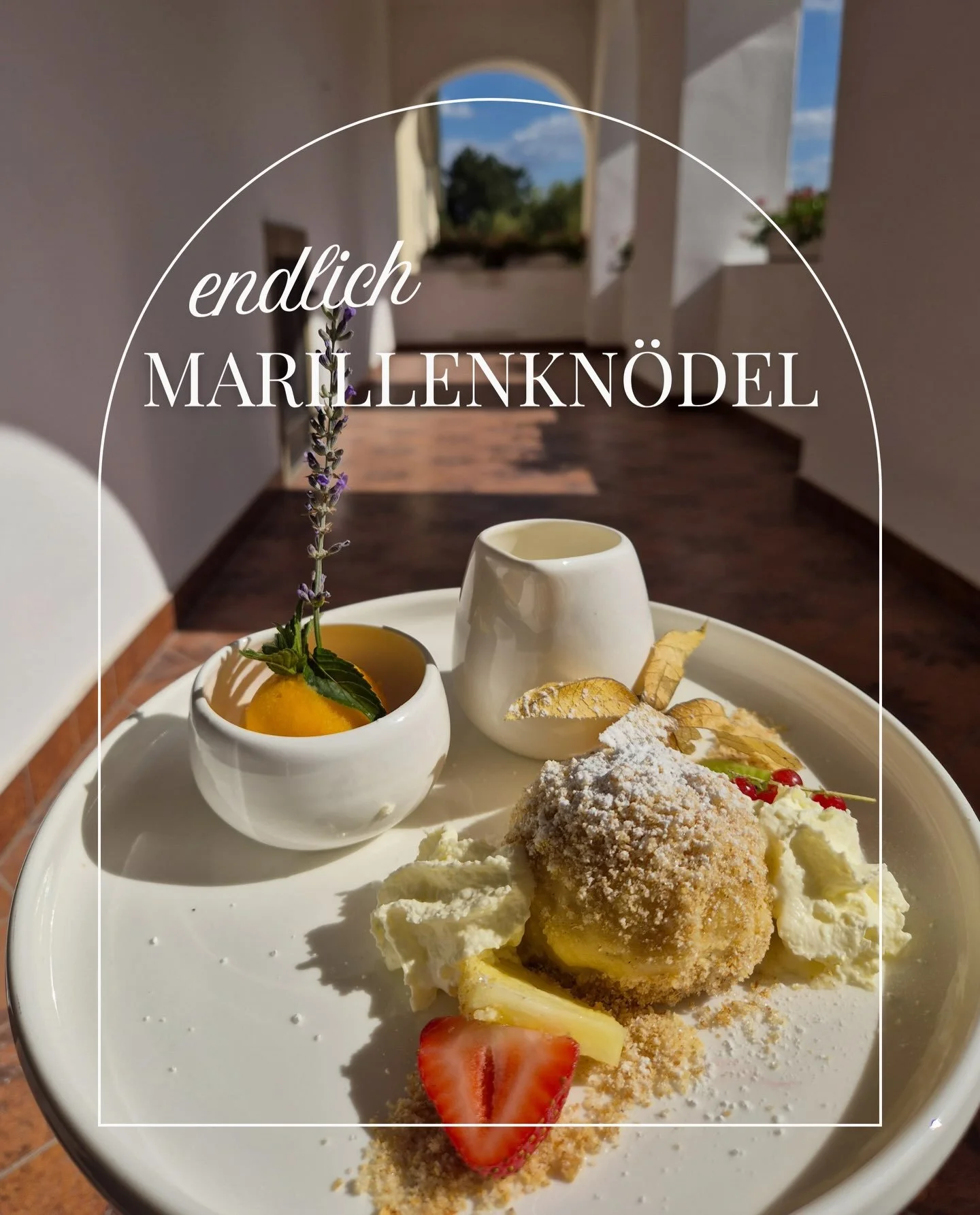 Endlich wieder Marillenkn&ouml;del!

Ab sofort gibt es wieder einen echten Klassiker: hausgemachte Marillenkn&ouml;del, serviert mit cremiger Vanillesauce und erfrischendem Marillensorbet.
Ein sommerliches Dessert f&uuml;r alle, die Marillen lieben &