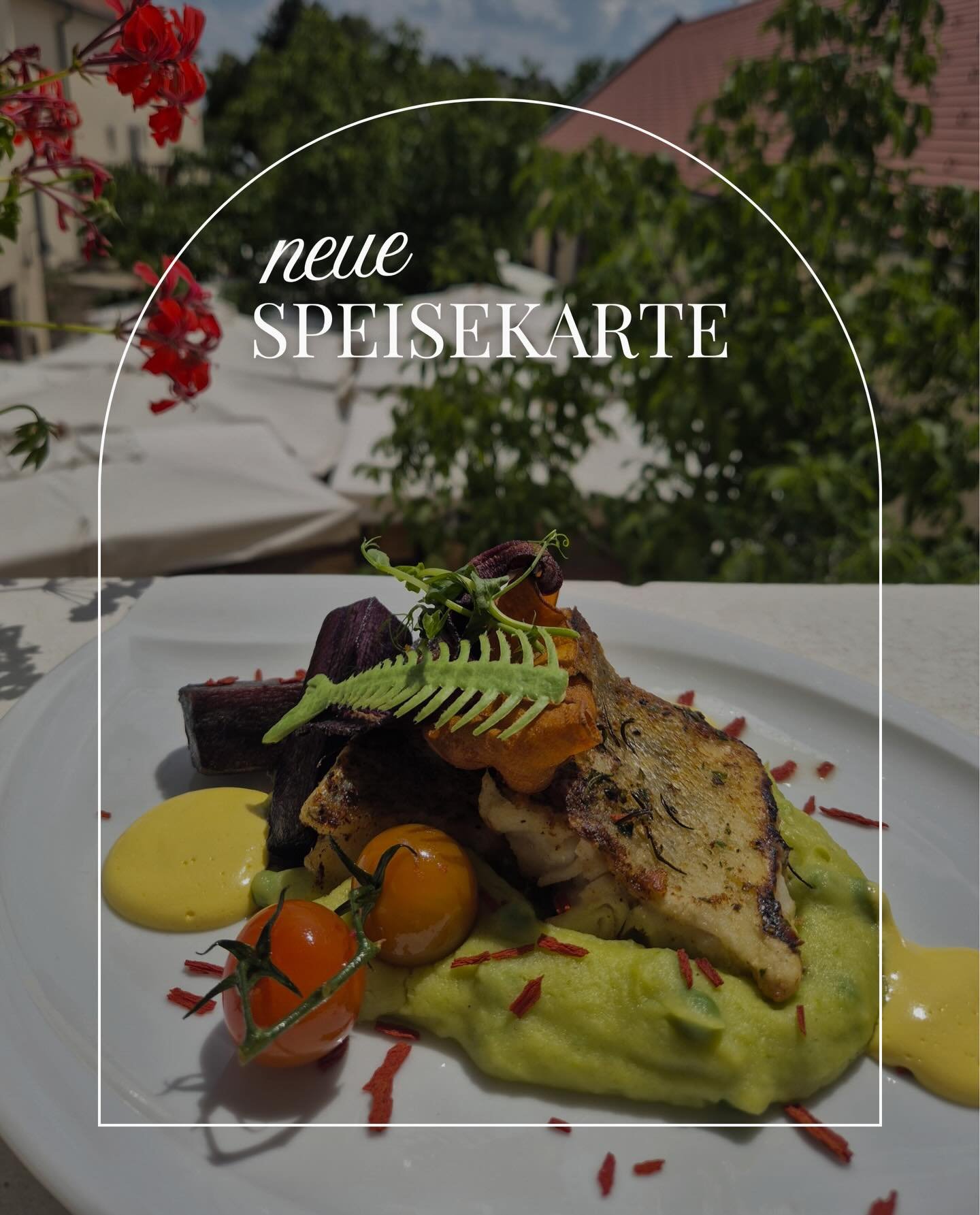 Neue Speisekarte im Alten Brauhaus. 🍽️

Unsere neue Speisekarte ist da und bringt saisonale Gerichte sowie regionale K&ouml;stlichkeiten auf den Teller.

Freut euch auf Highlights wie unser gebratenes Zanderfilet, den gebeizten Lachs, die Seewinkler