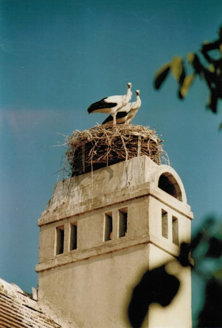 Storch Altes Brauhaus