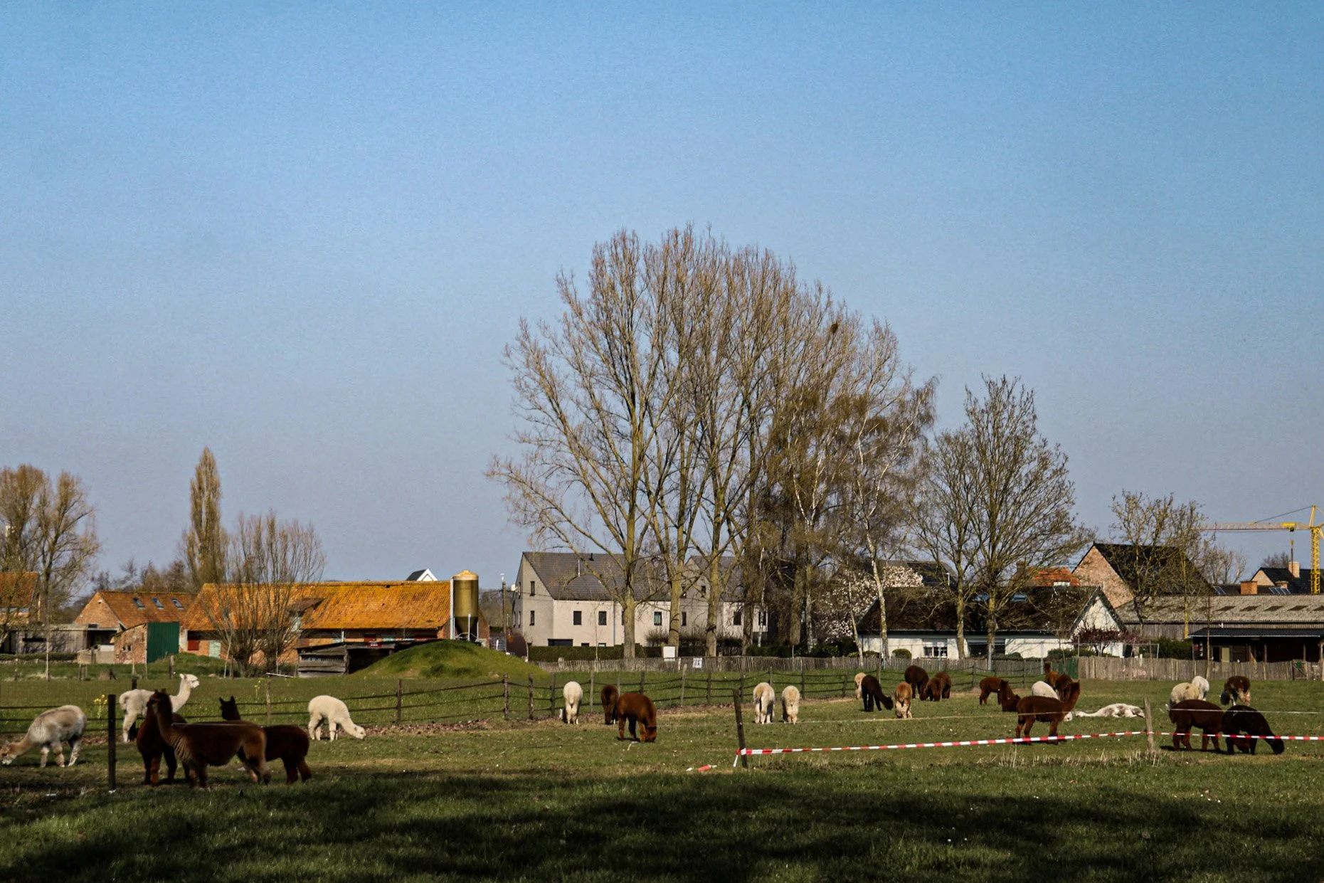 56-IMG_9922.jpg
