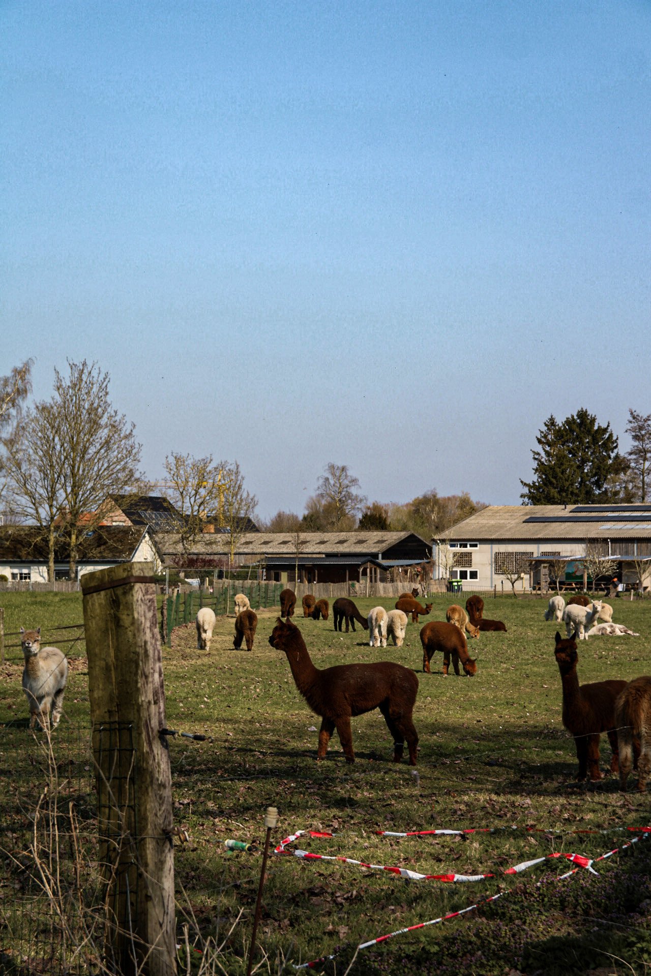 58-IMG_9924.jpg