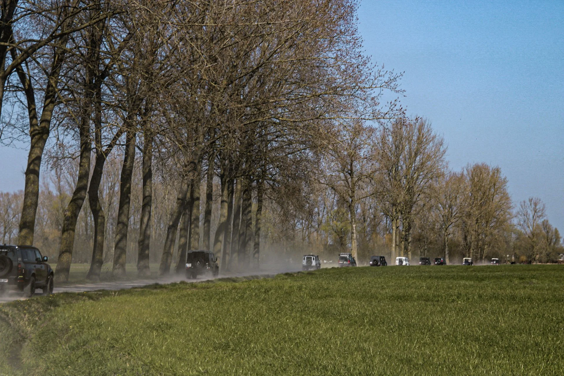 44-IMG_9908.jpg