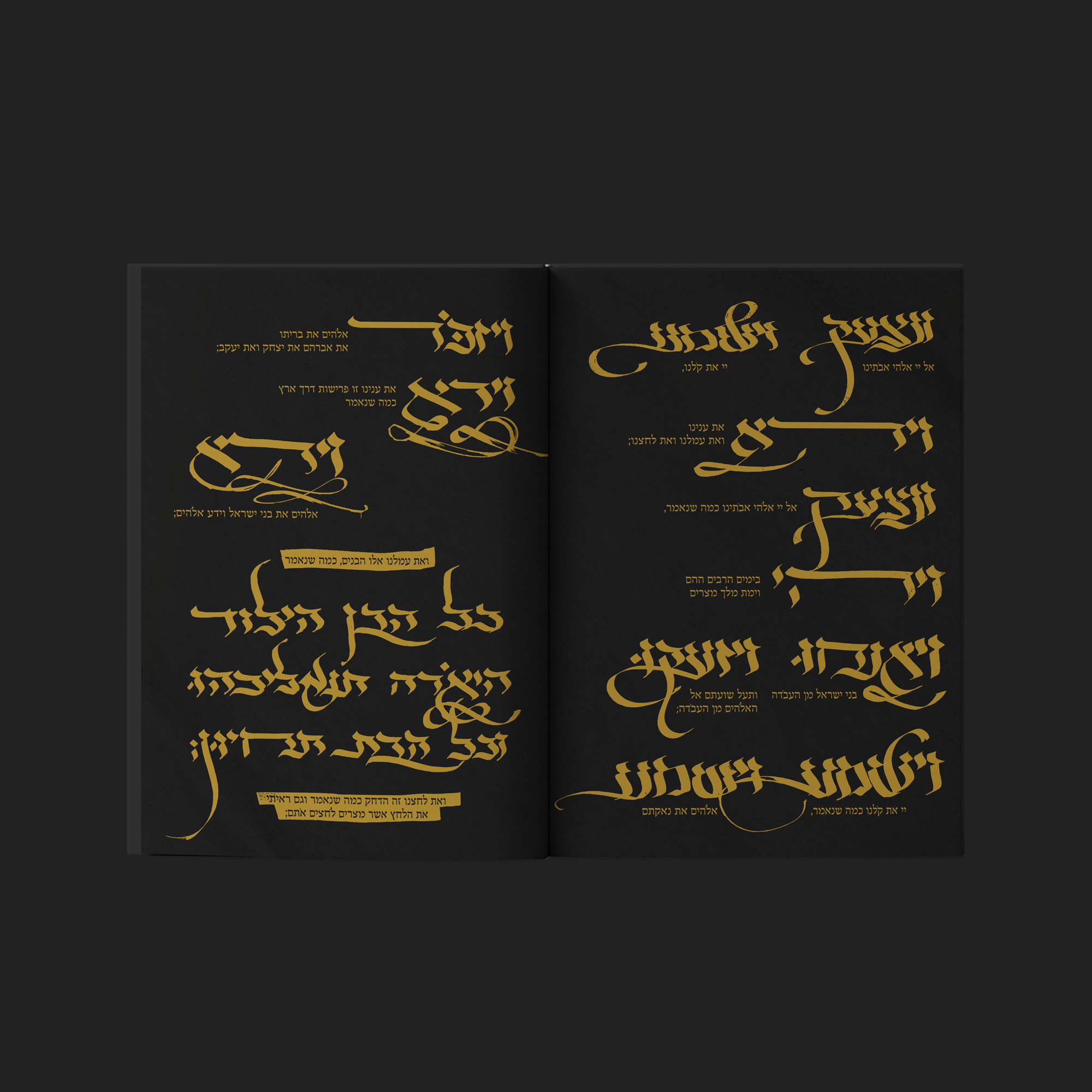 Passover Hagada design for Asufa