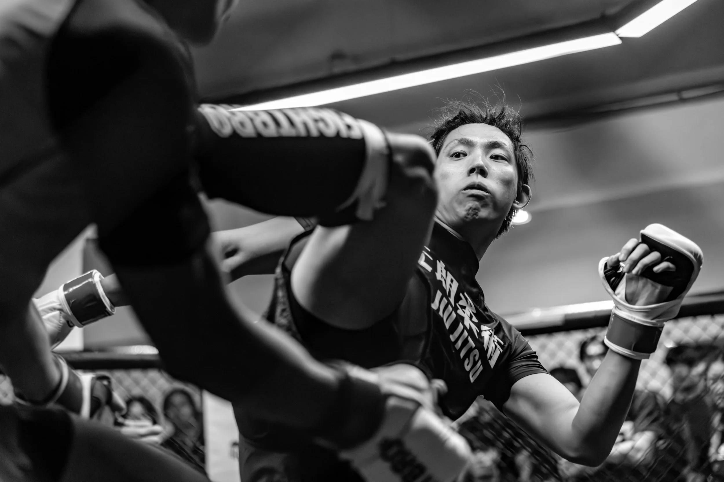 Vamos 03-08-25-100.jpeg