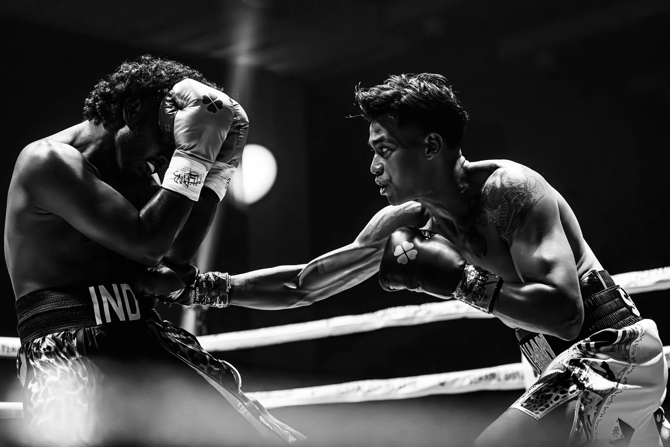 Encounter 2 10-10-25-196.jpeg