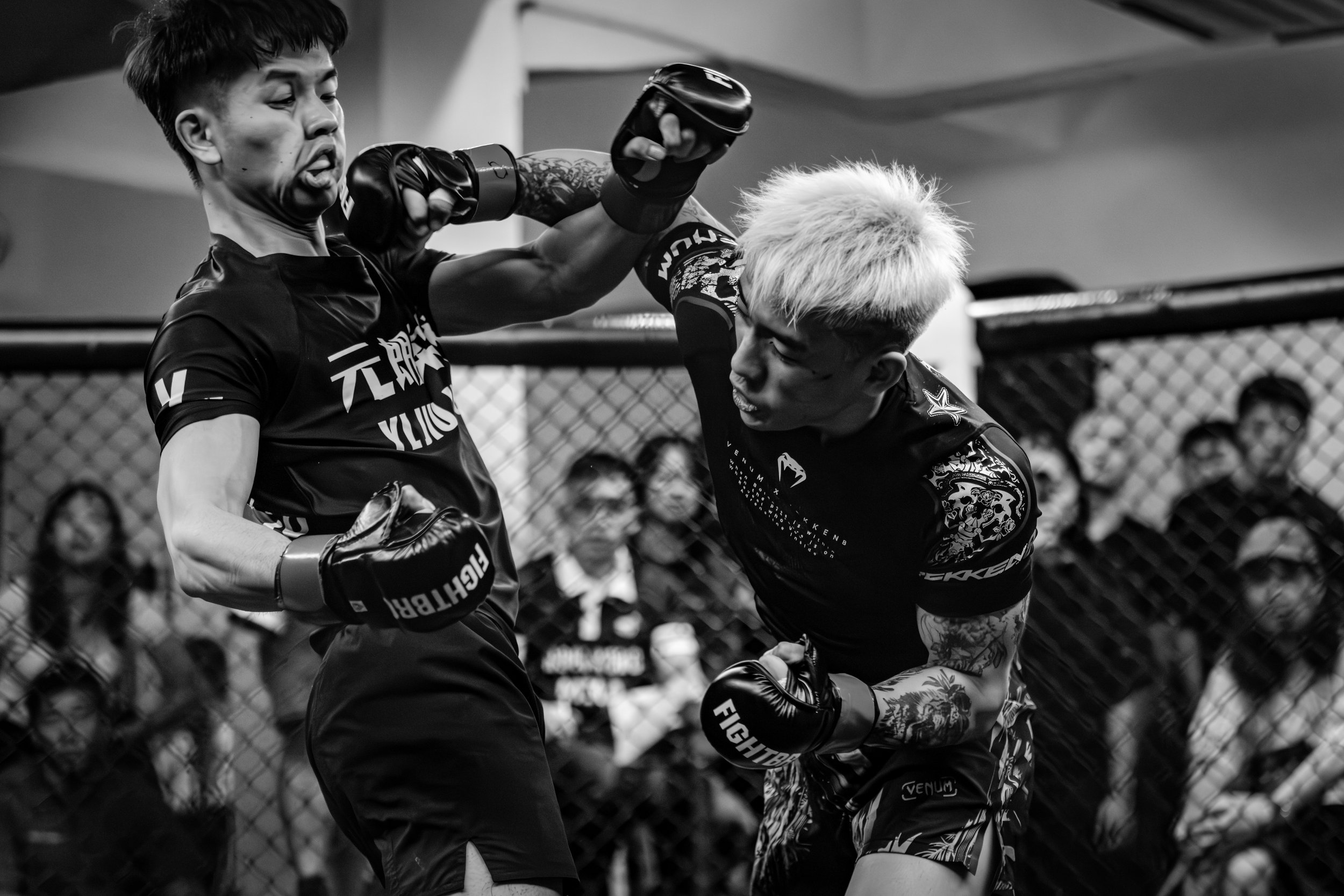 Vamos 03-08-25-60.jpeg