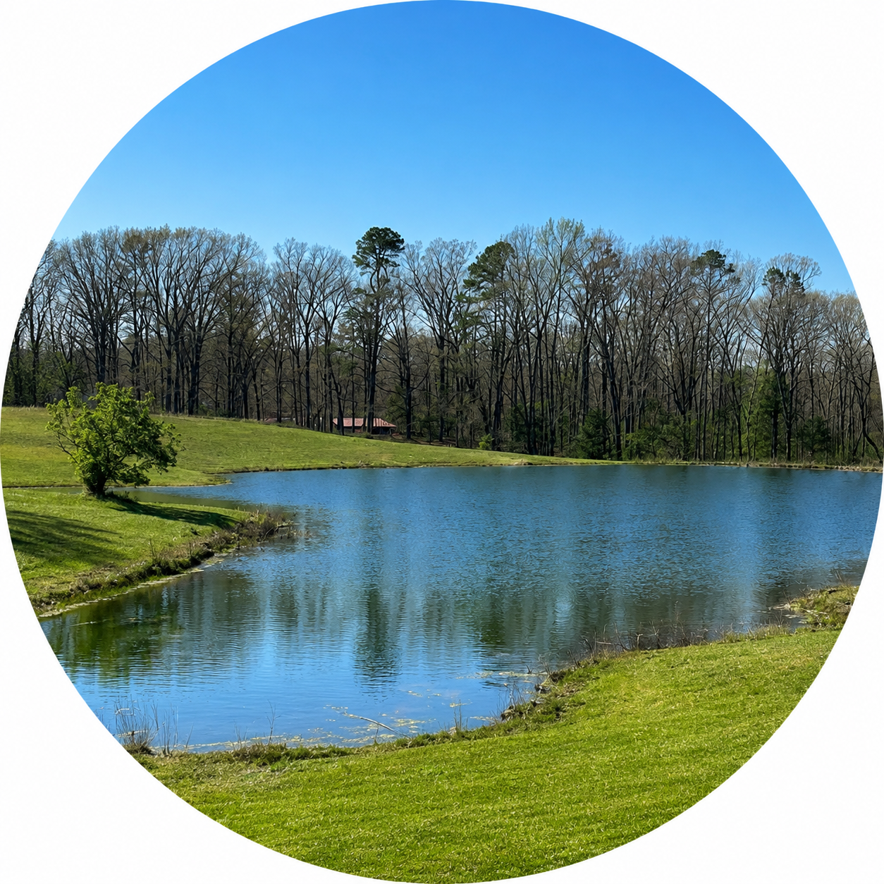 Peaceful Reflections
