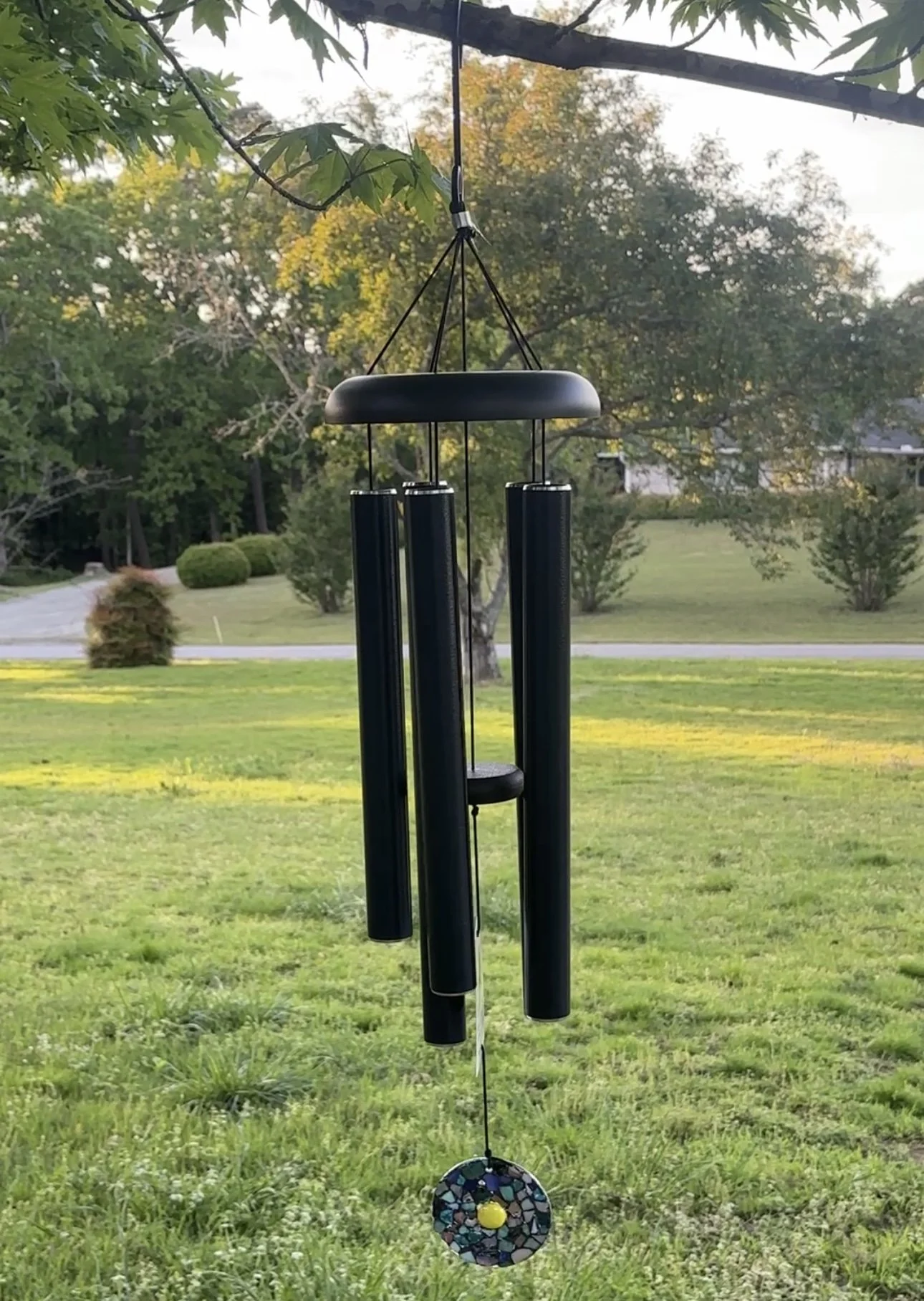 34 for still photo.jpg