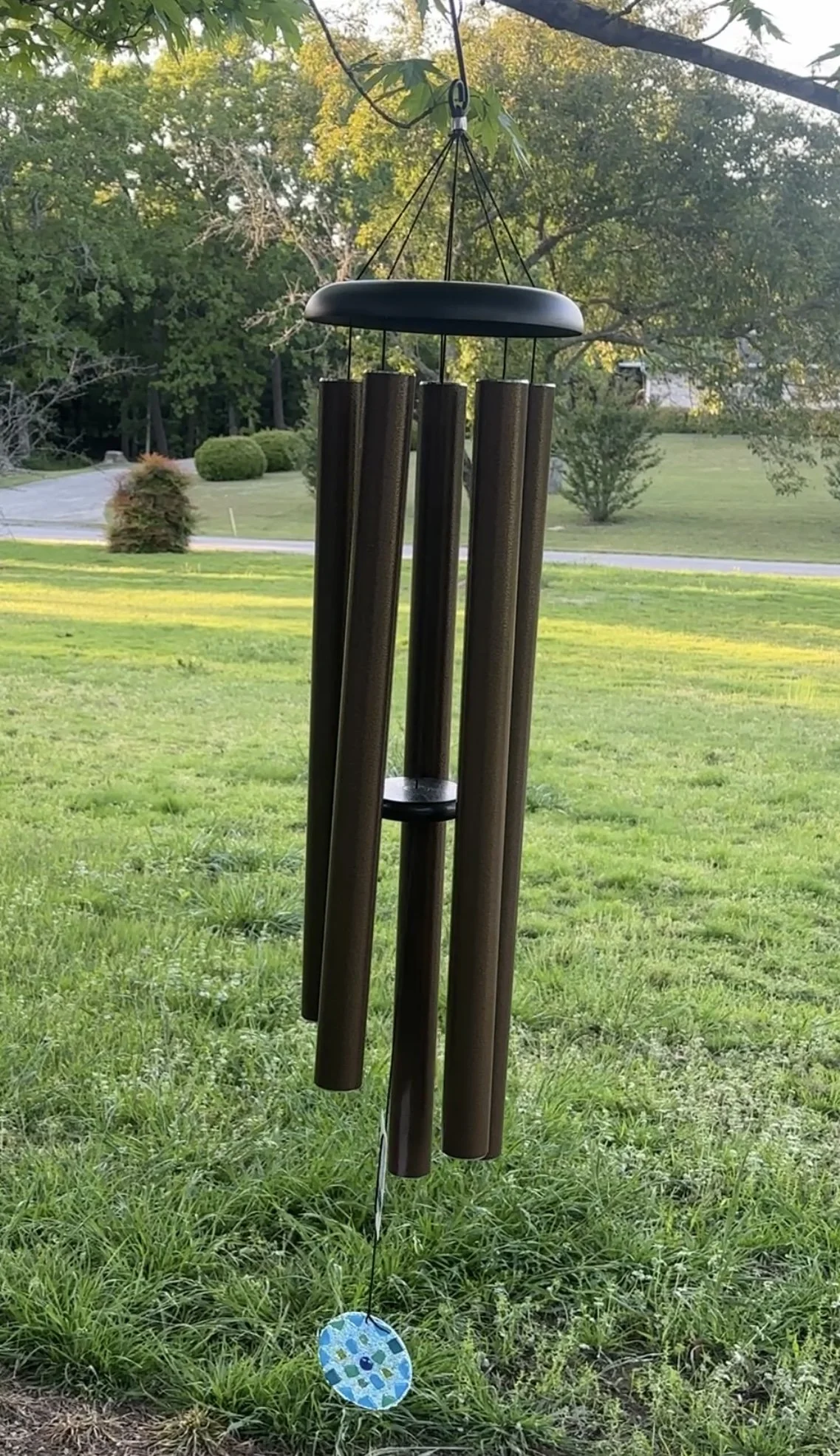 52 for still photo.jpg