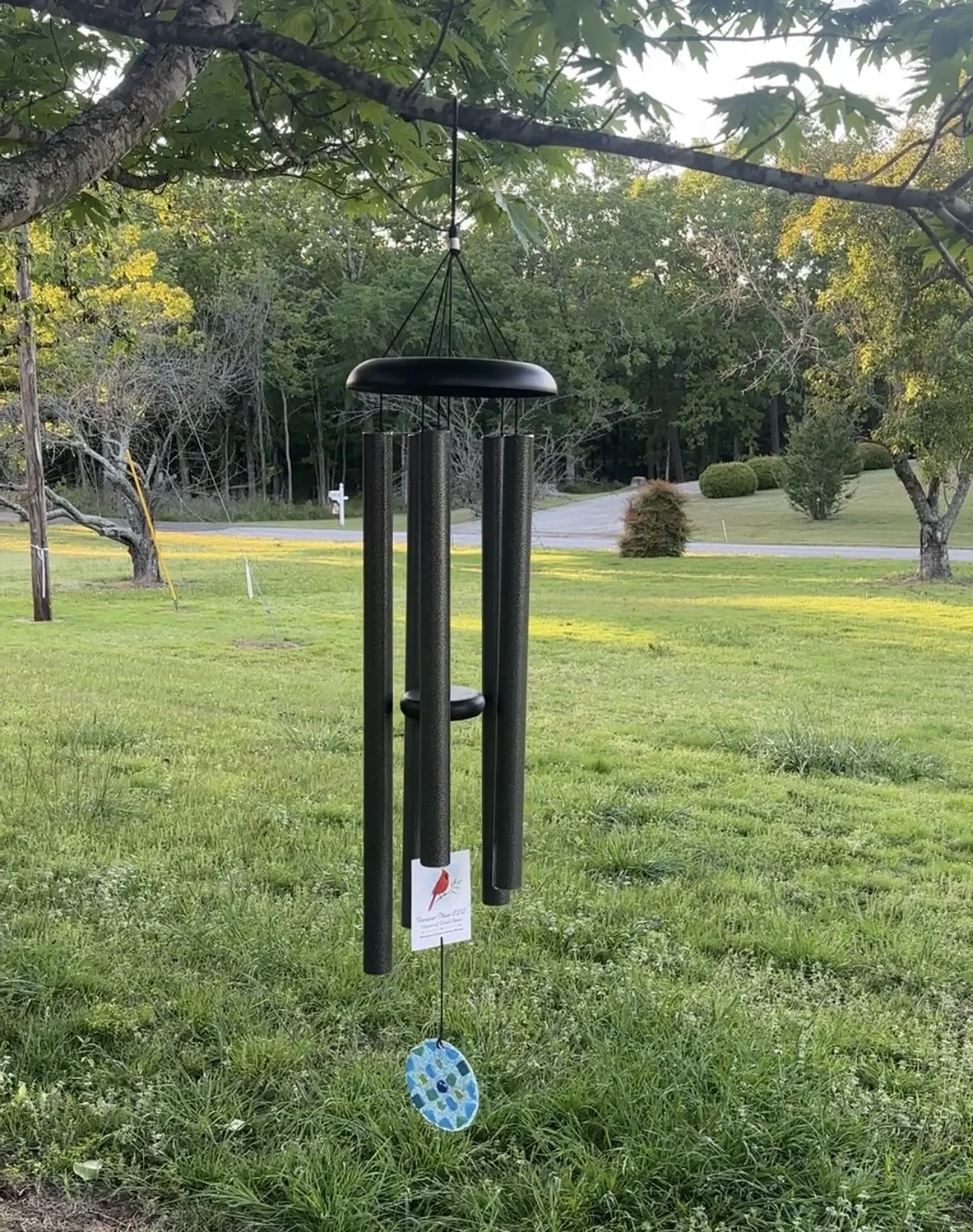 42 for still photo.jpg