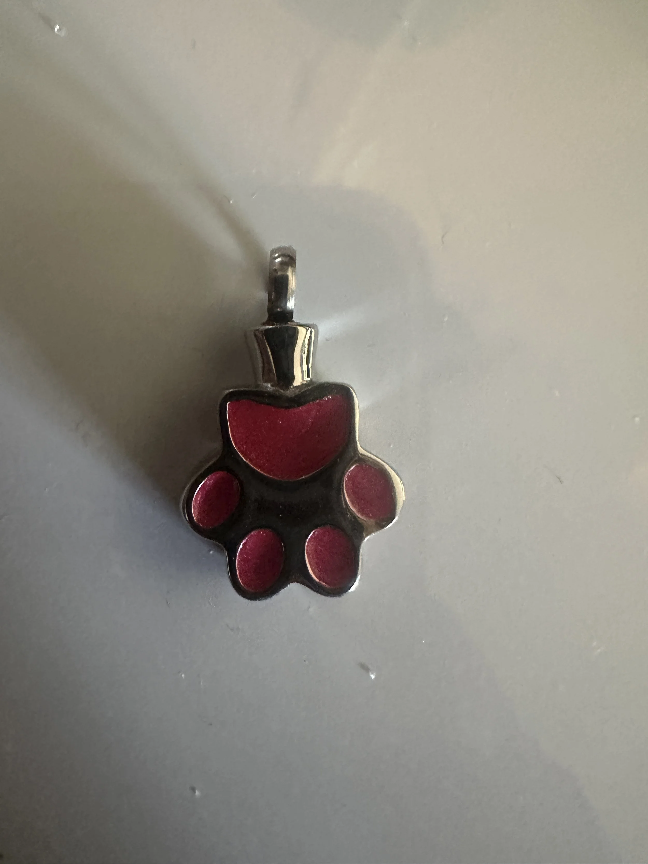 Paw