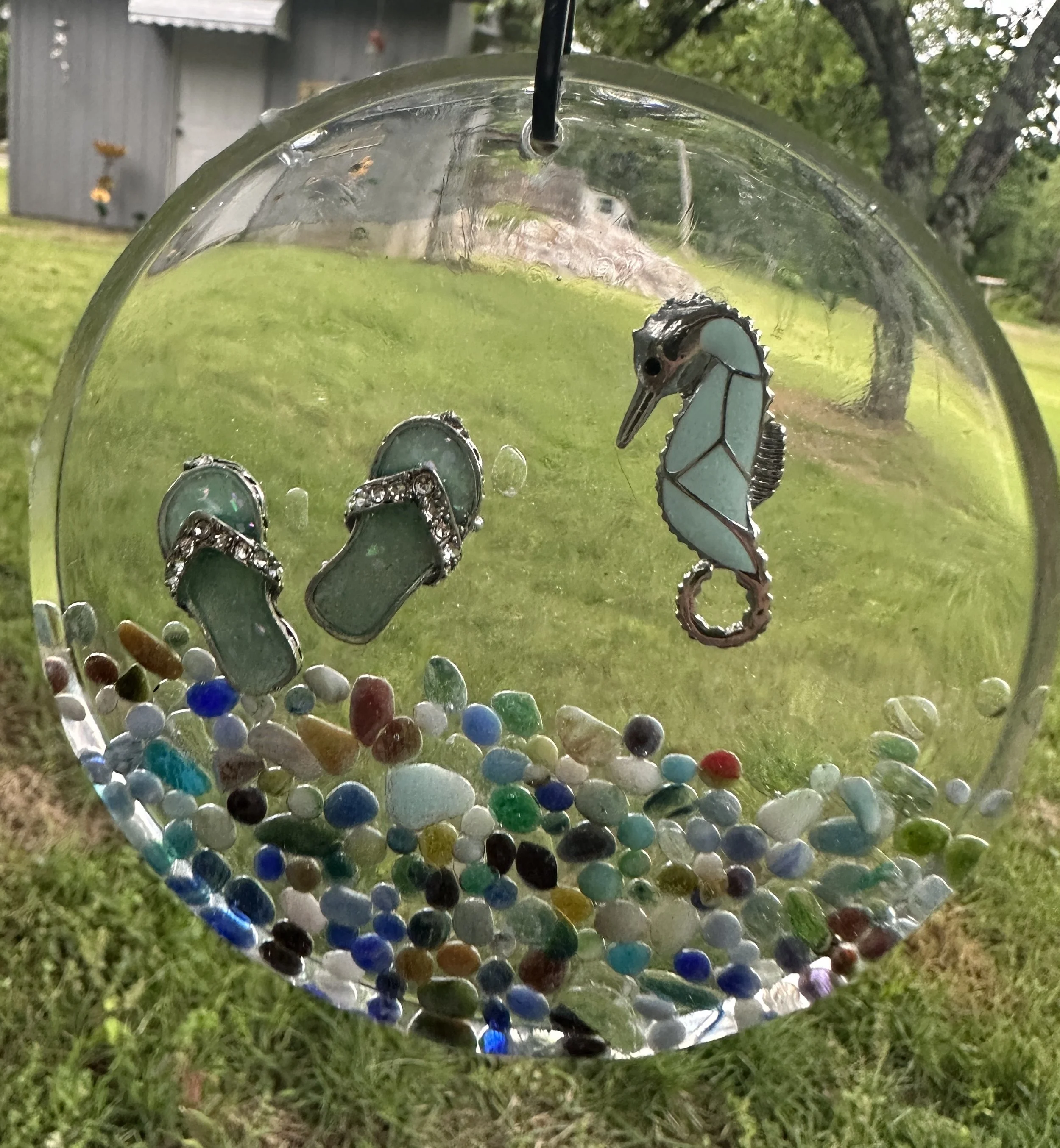 Seahorse and flip flops