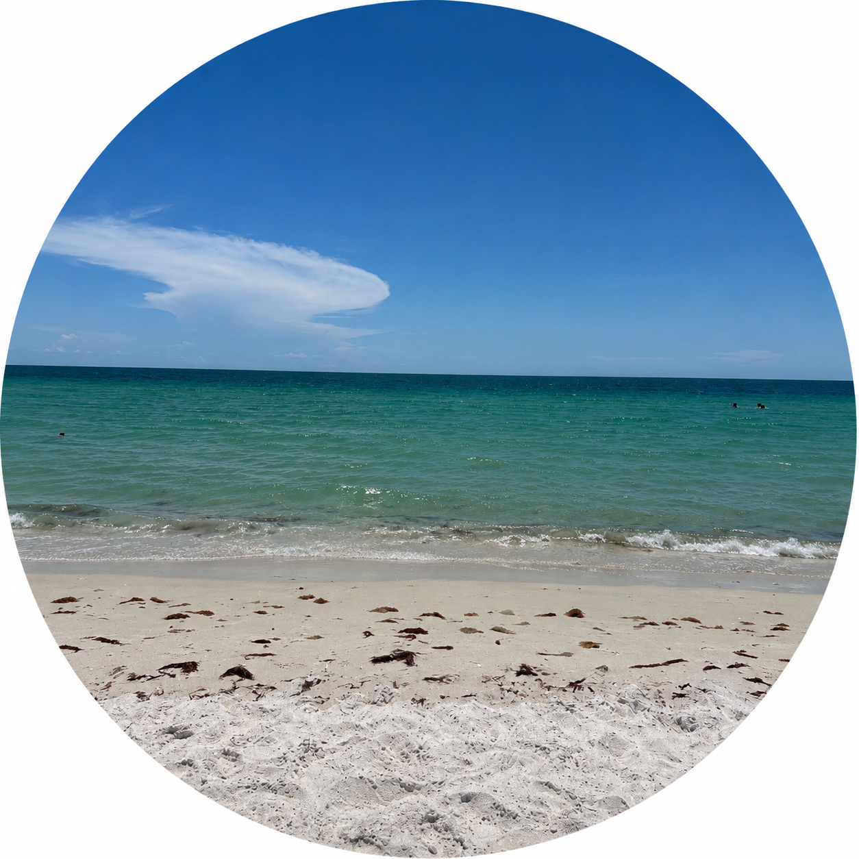 Florida Sunshine