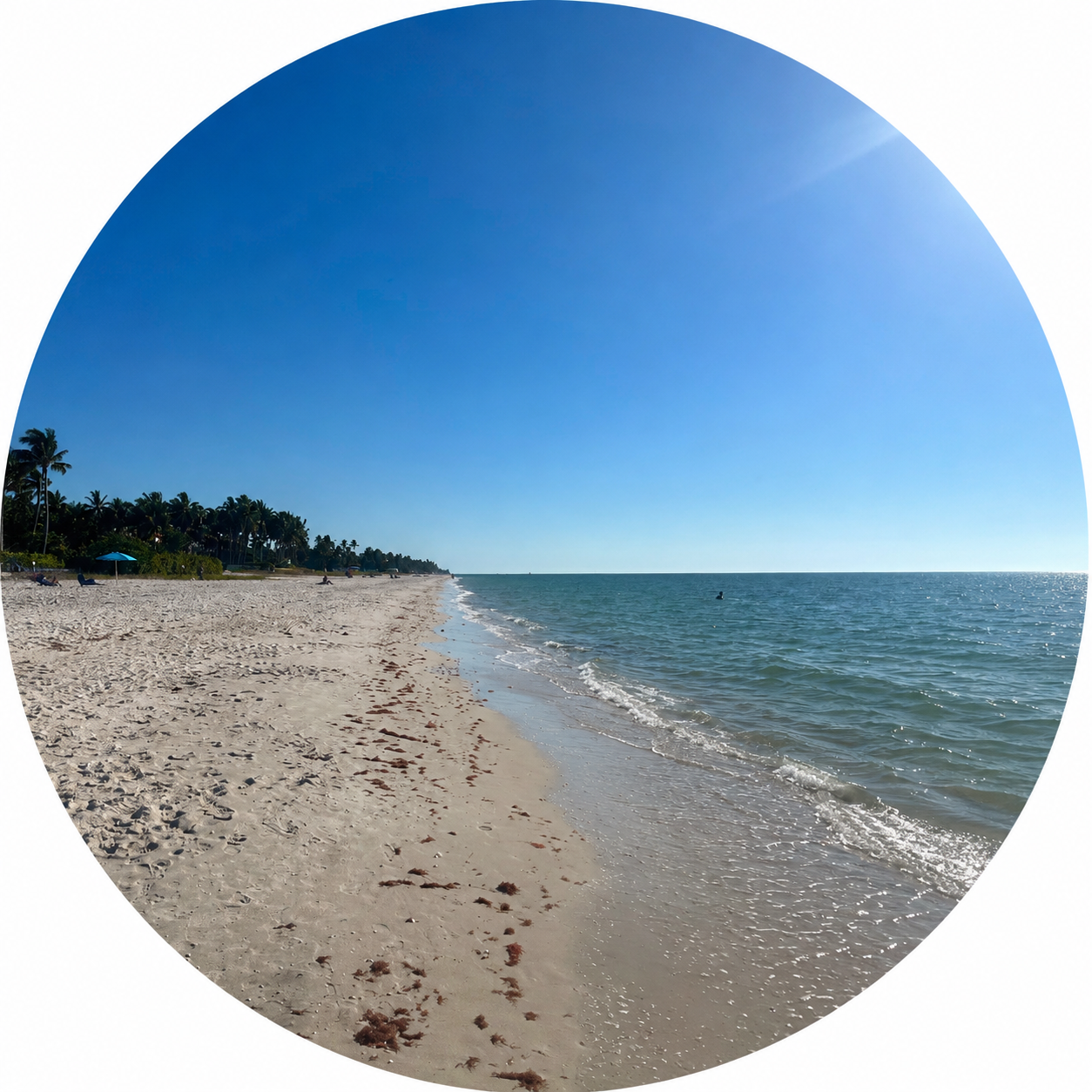 Tranquil Shore.PNG