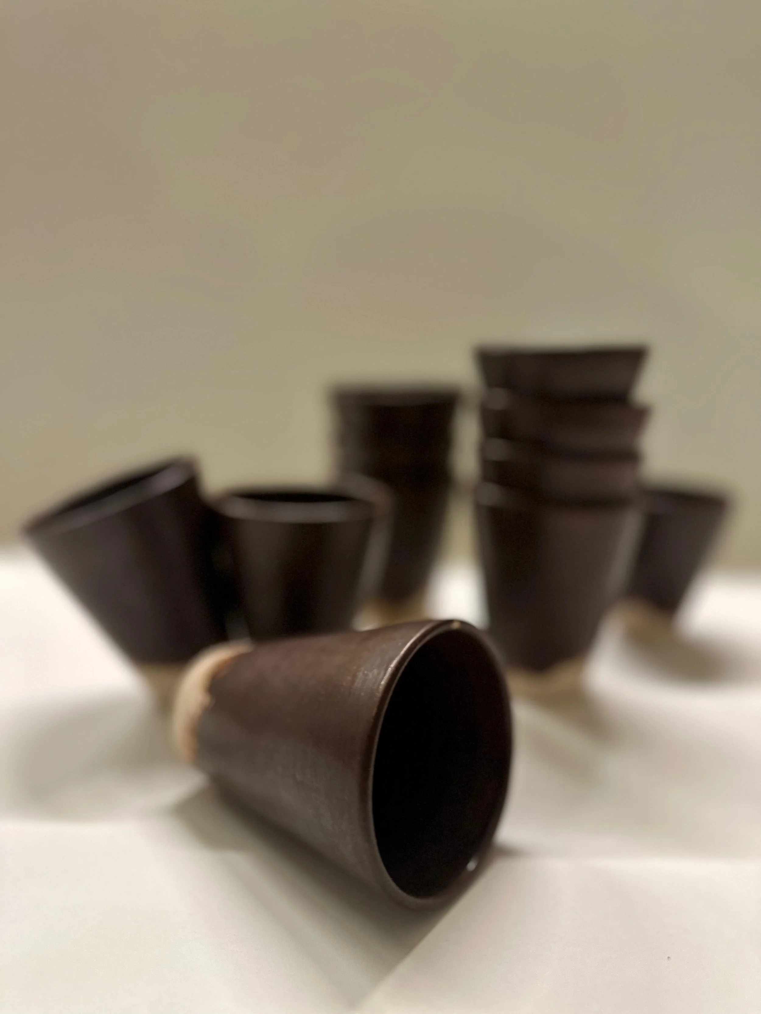 WhatsApp Image 2025-12-28 at 10.43.07 AM (2).jpeg (Copy)