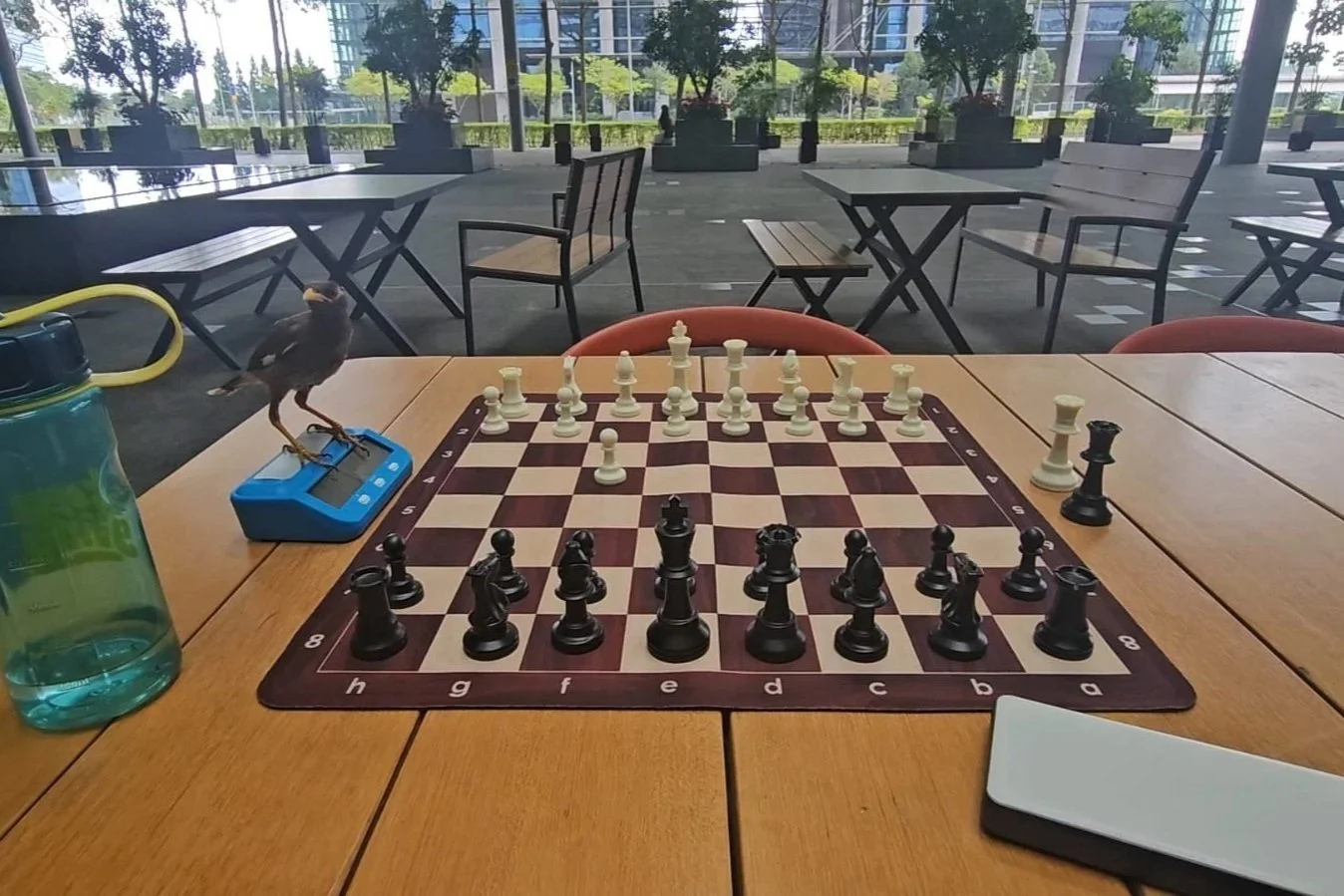 The Quiet Click of the Clock: Reflections from Street Gambit Pilot #2