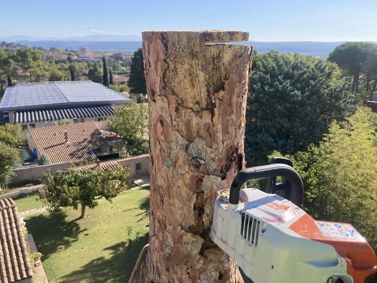 Tronçonneuse sur un tronc d'arbre