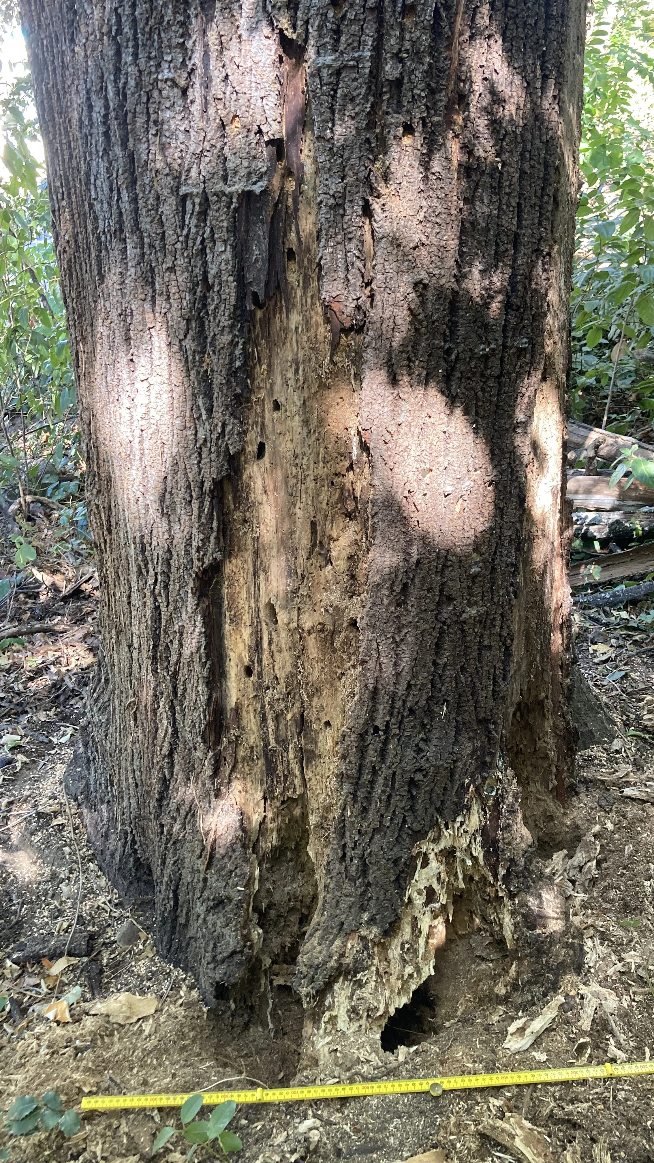 Expertise et Gestion