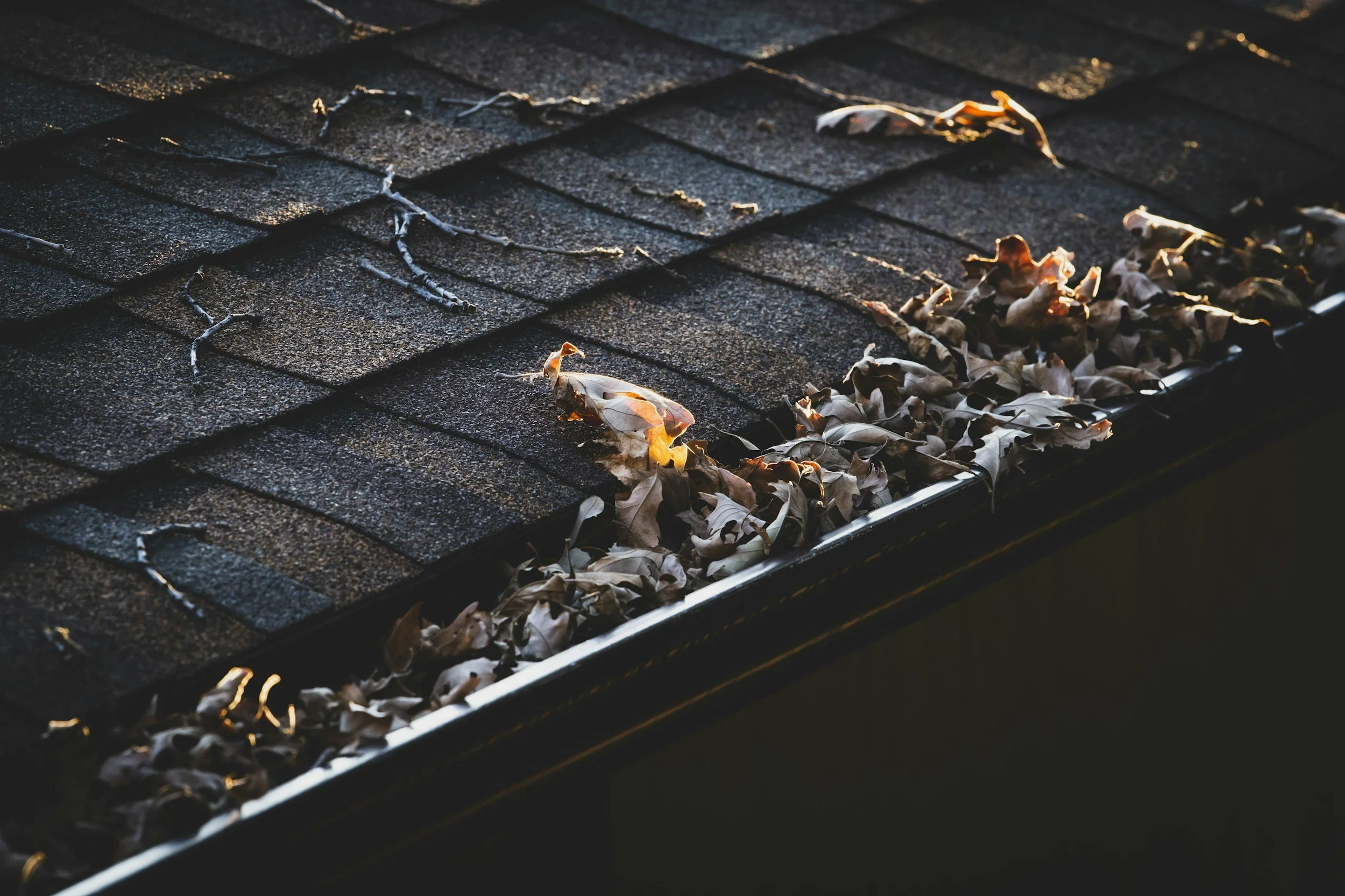 Close-up of a roof with brown shingles and dried leaves in the gutter, illuminated by warm sunlight.