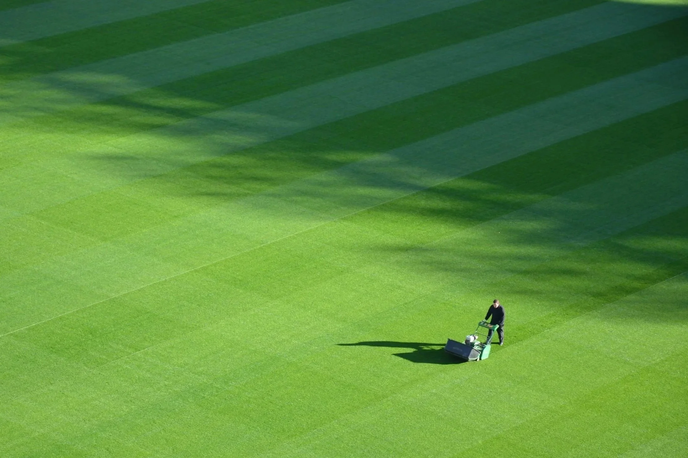 A person pushing a lawn mower on a green grass field, with long shadows and stripes of sunlight.