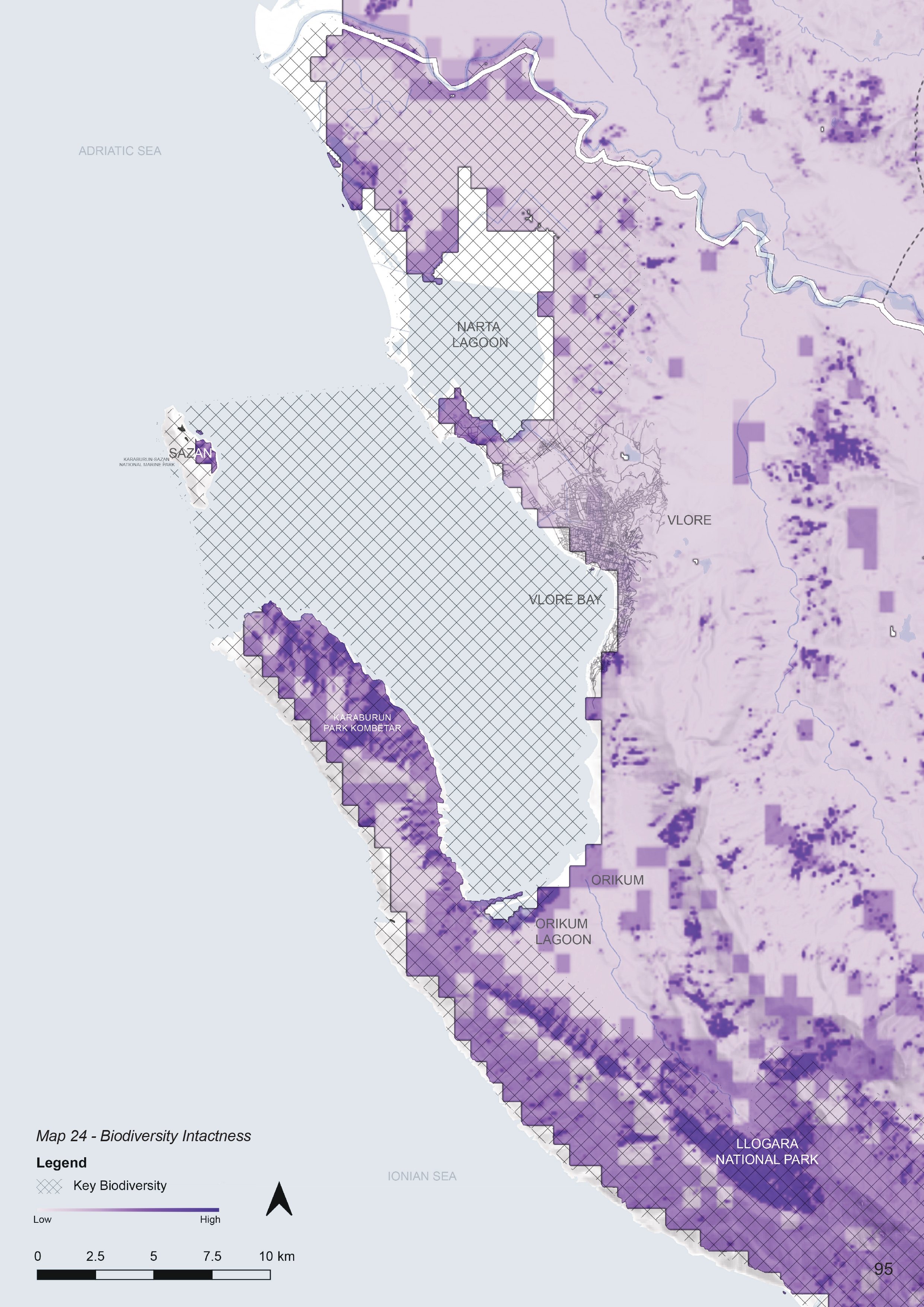 The Lifeline Print Graphus_page-0095.jpg
