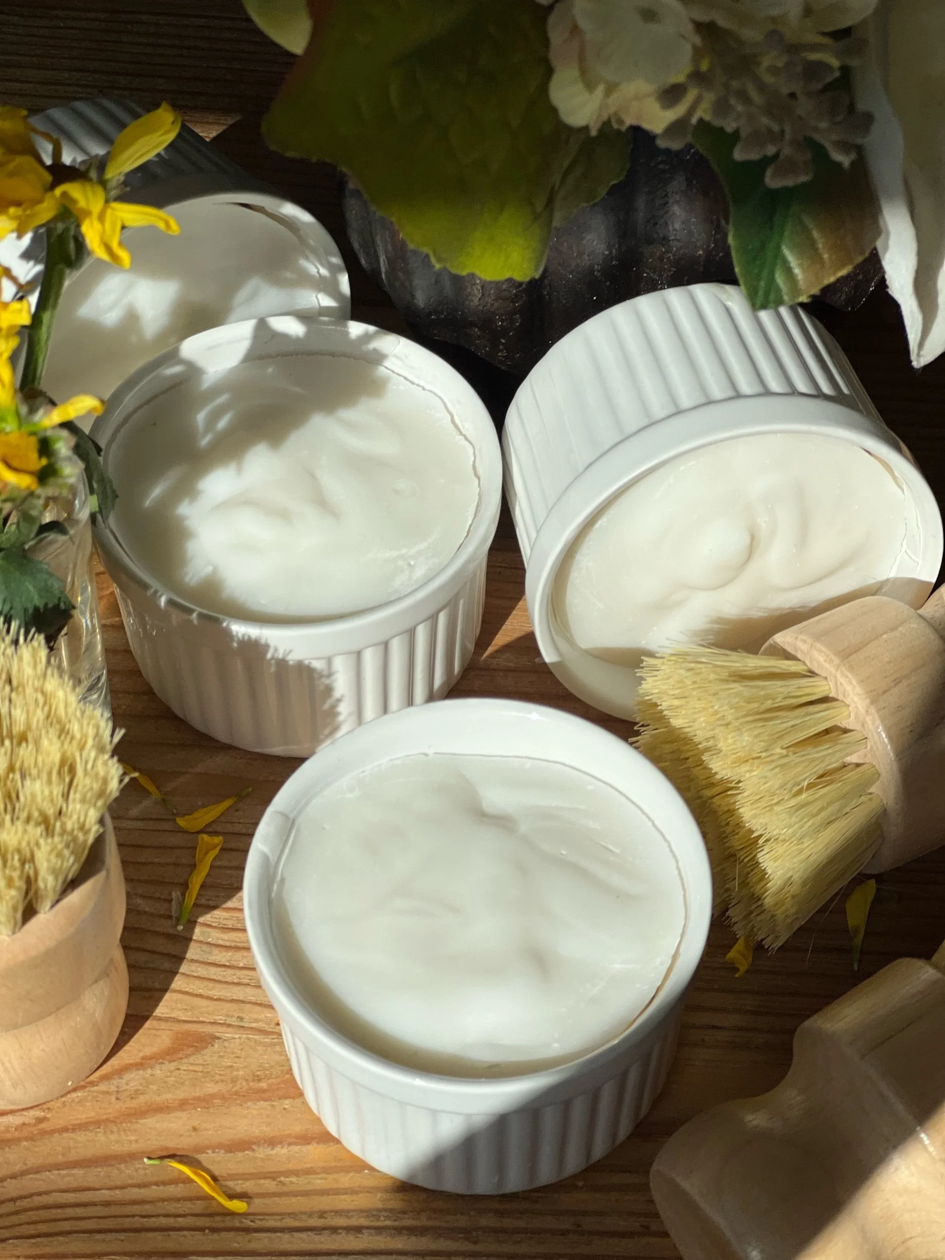 Eco-Friendly Solid Dish Soap Set