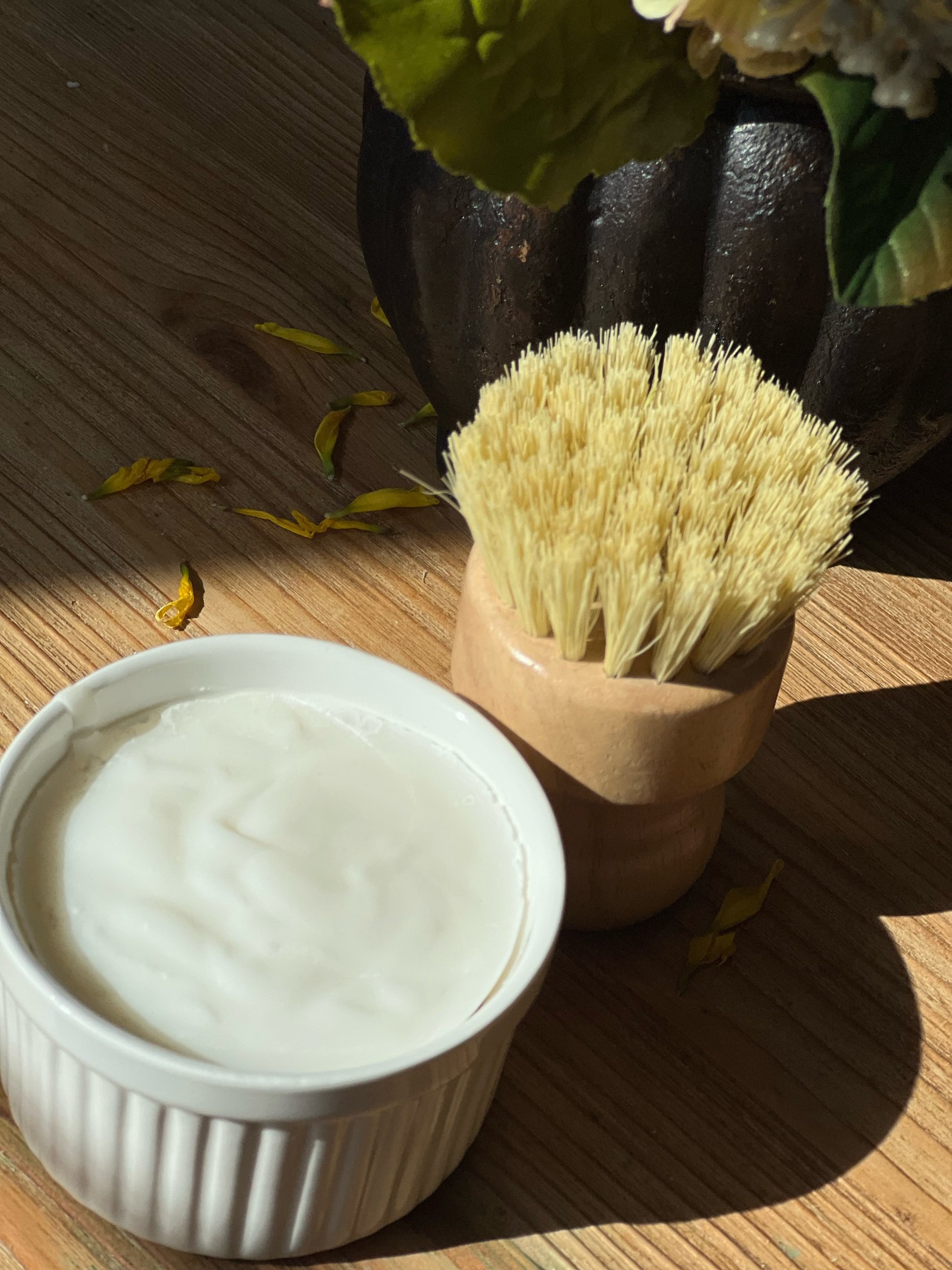 Eco-Friendly Solid Dish Soap Set