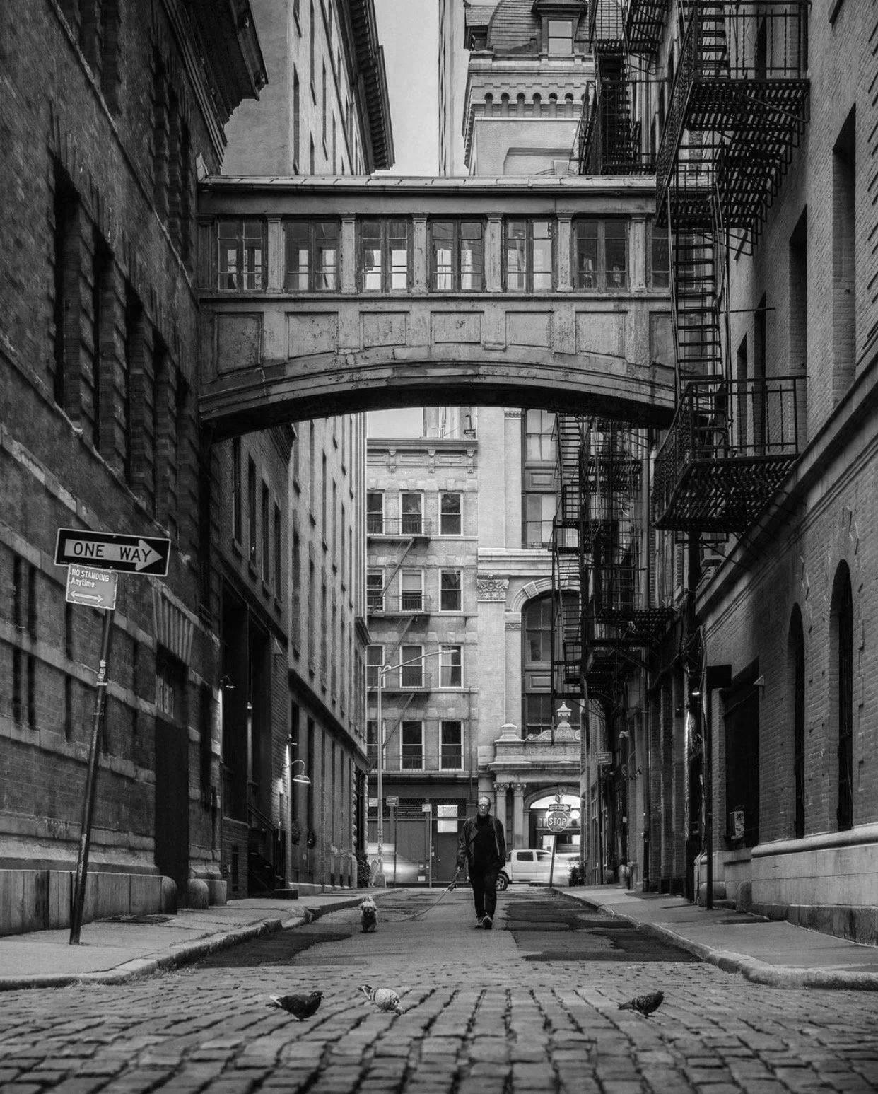 A setting in Tribeca, NYC with a cobblestone alley with pigeons on the ground, surrounded by tall buildings with fire escapes, a bridge connects two buildings overhead, and a one-way street sign is visible.