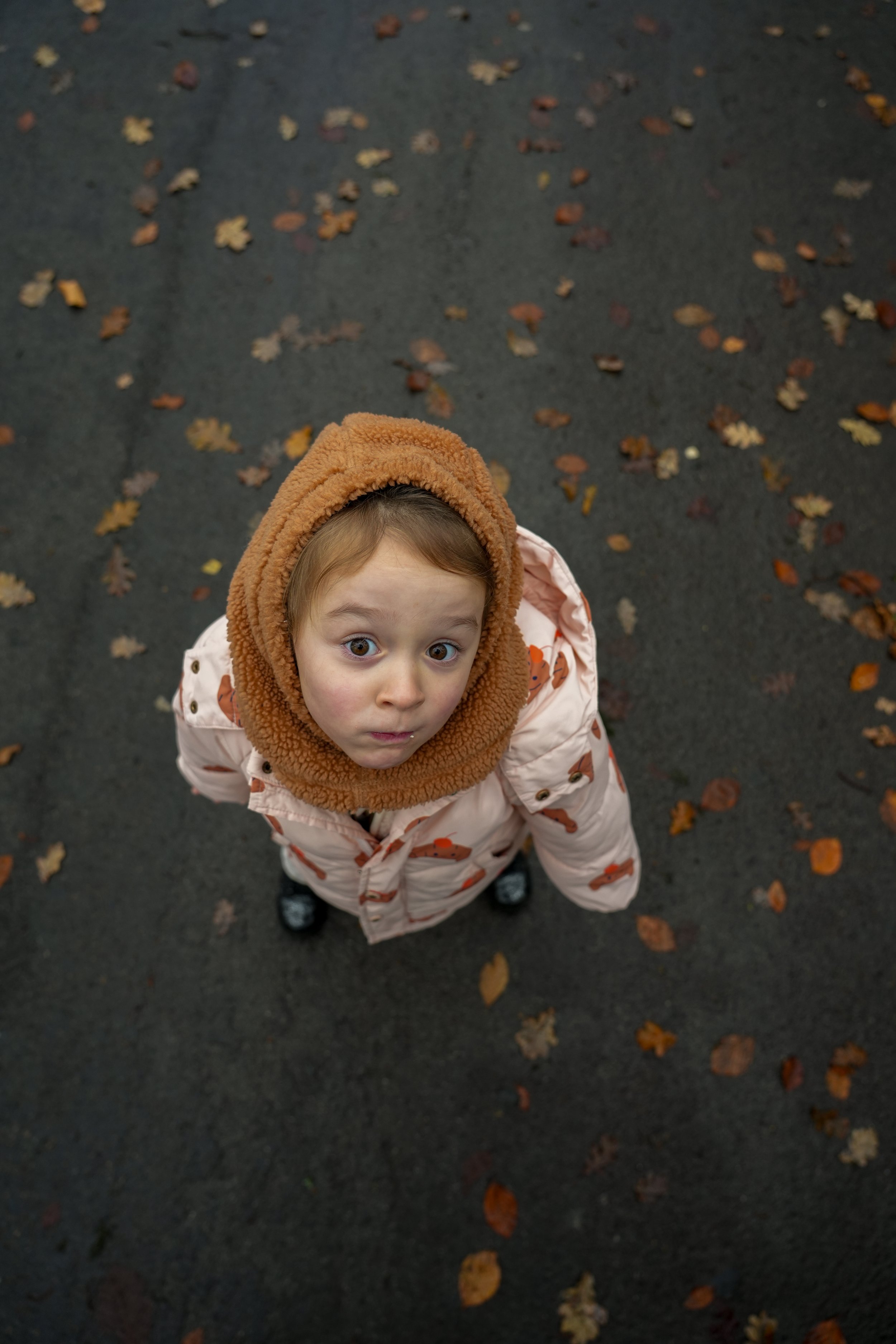 A young girl with red hair, wide eyes, and a curious expression looking up, wearing a beige coat with autumn leaf patterns and a brown hood, standing on a dark paved street with scattered fallen autumn leaves.