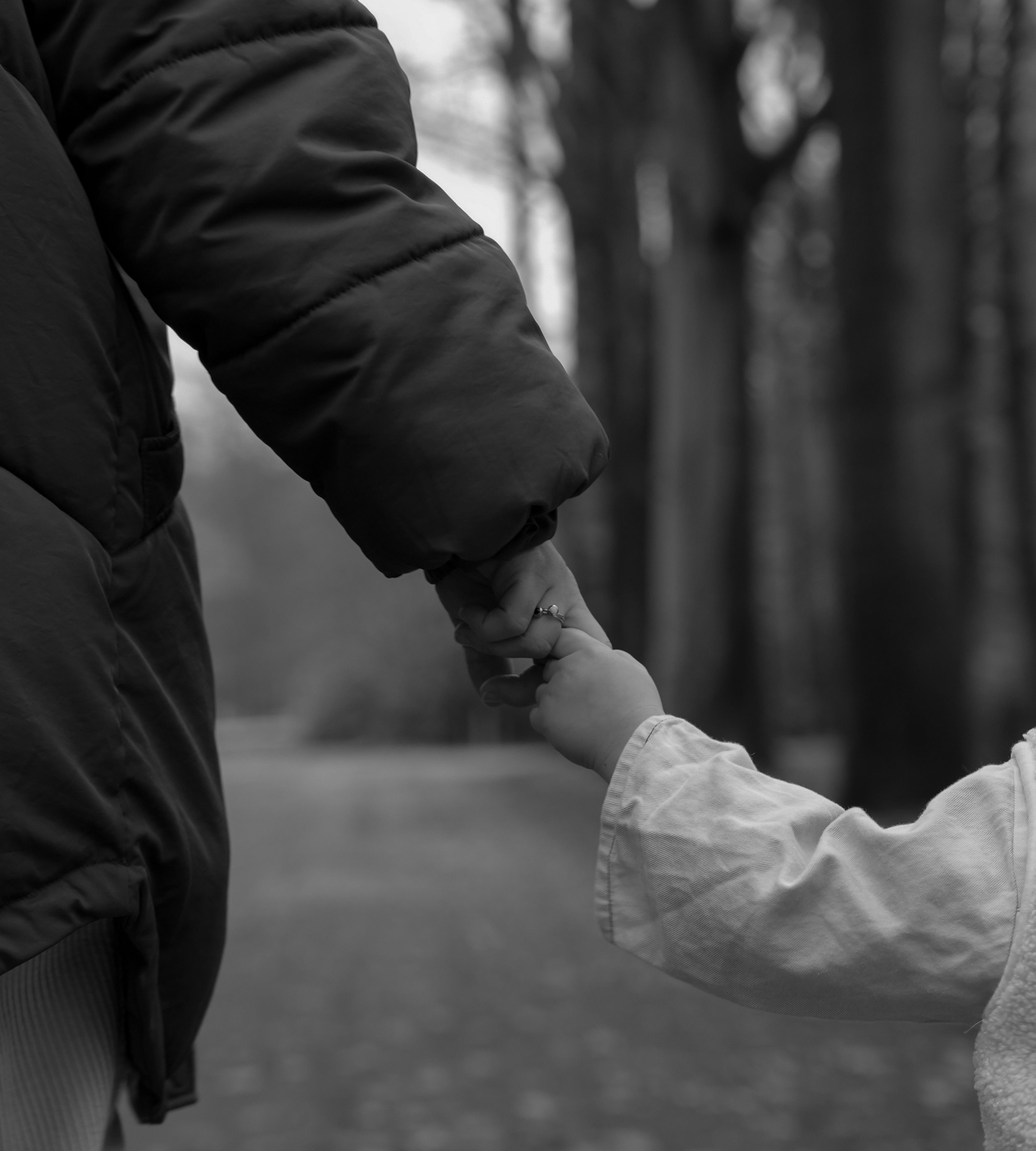 A black and white photo of an adult holding a child's hand in an outdoor forest setting.