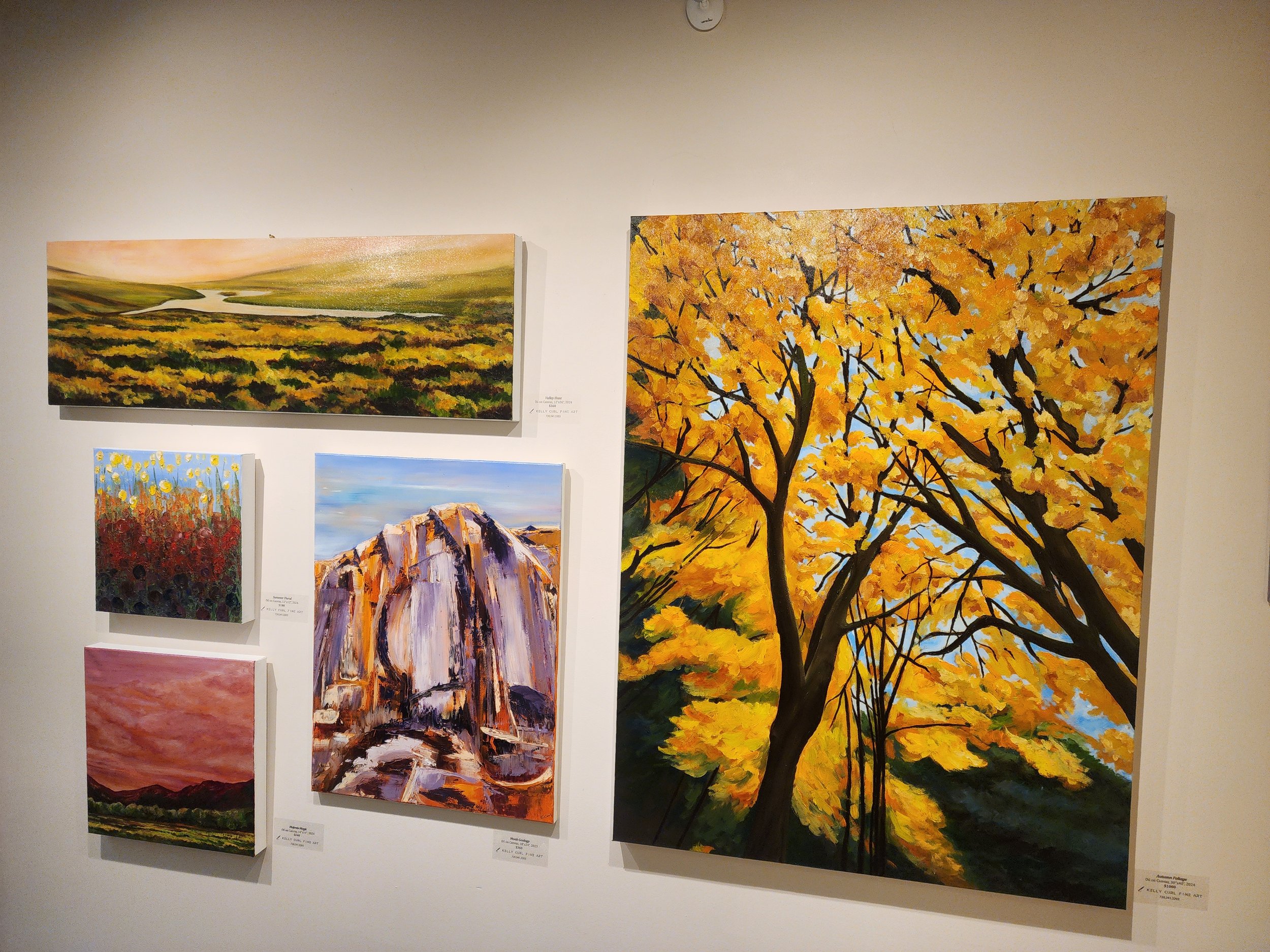 A wall displaying five colorful landscape paintings, including a river scene, a tree with yellow leaves, a mountain, a sunset sky, and a field of flowers.