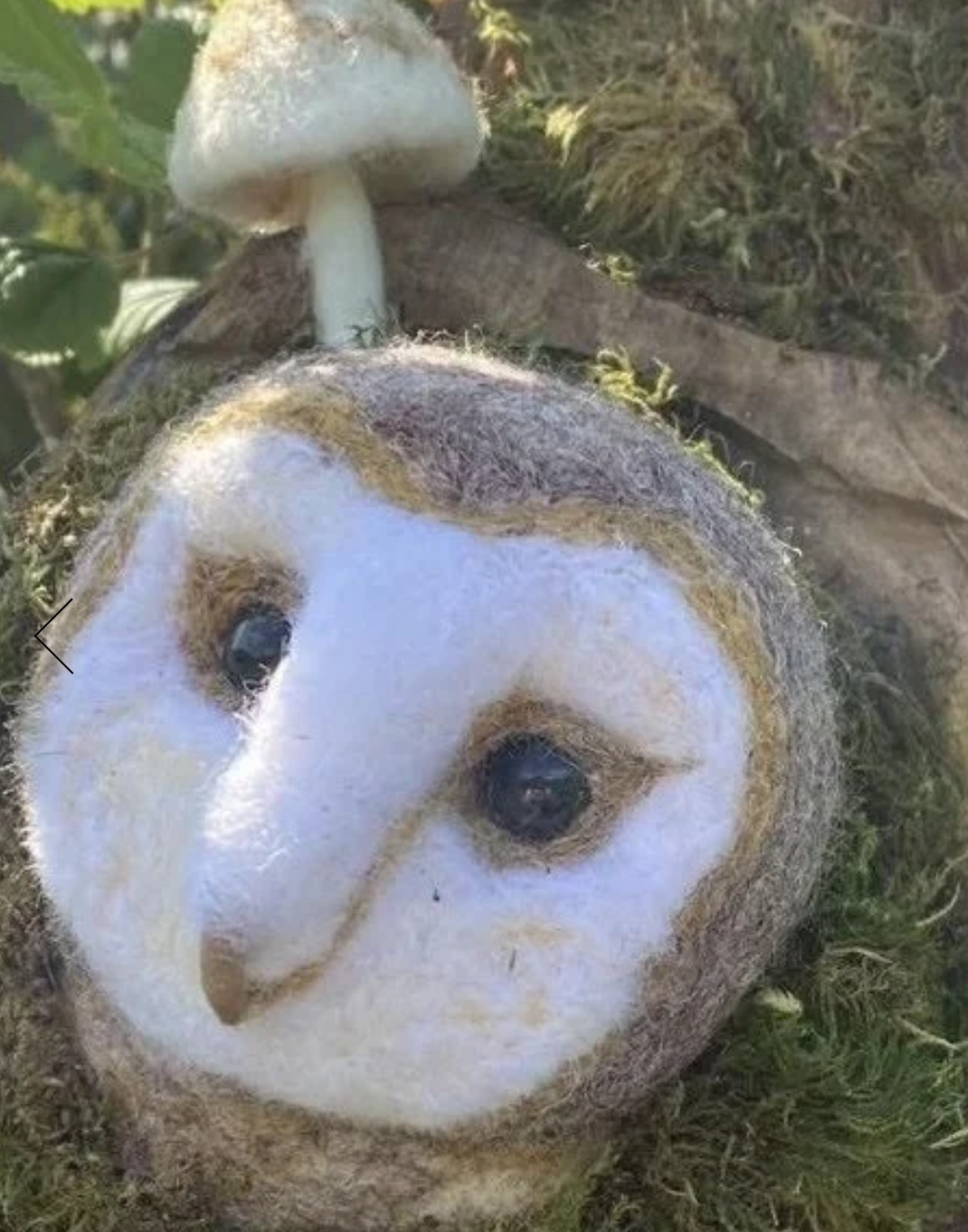 Image 31-01-2026 at 12.32.png