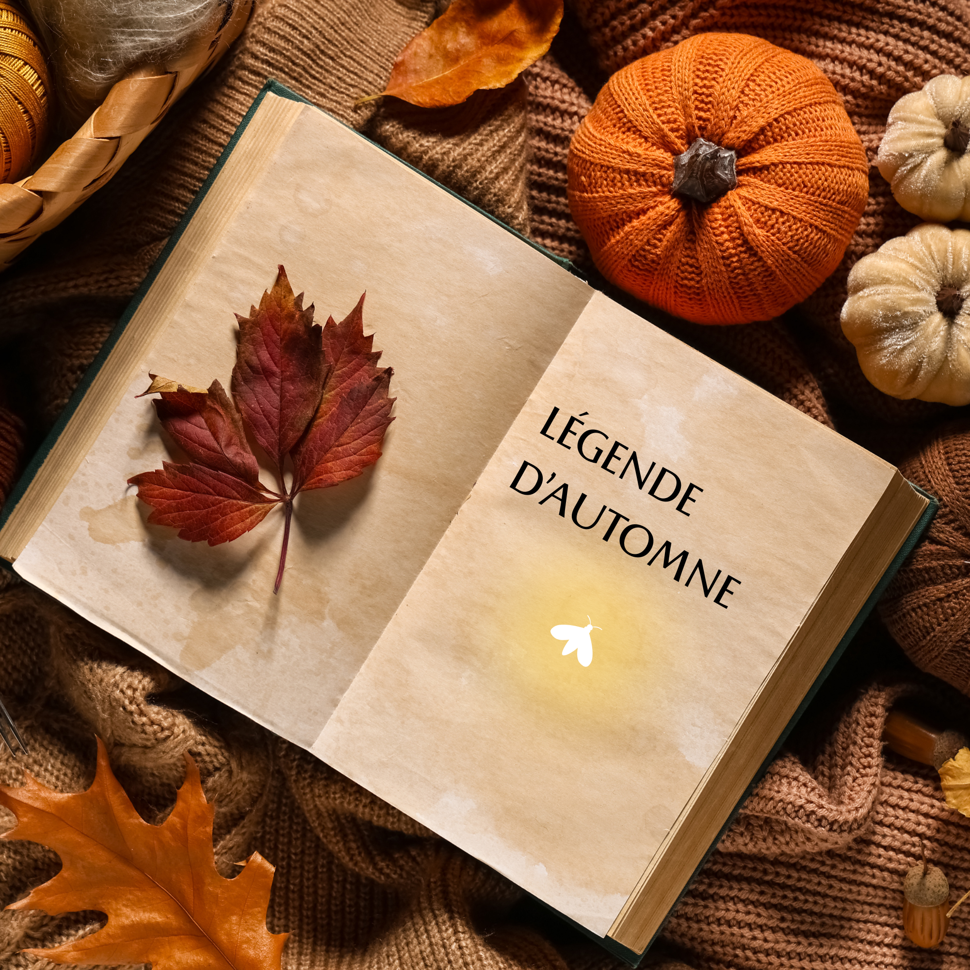 LÉGENDE D’AUTOMNE  🍂✨