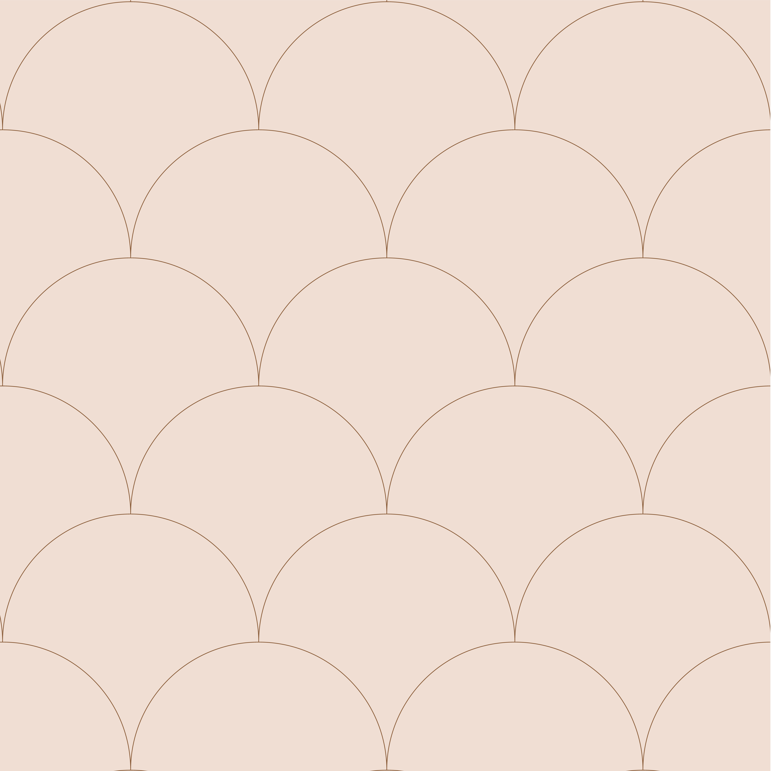scallops+beige+browncopy.png