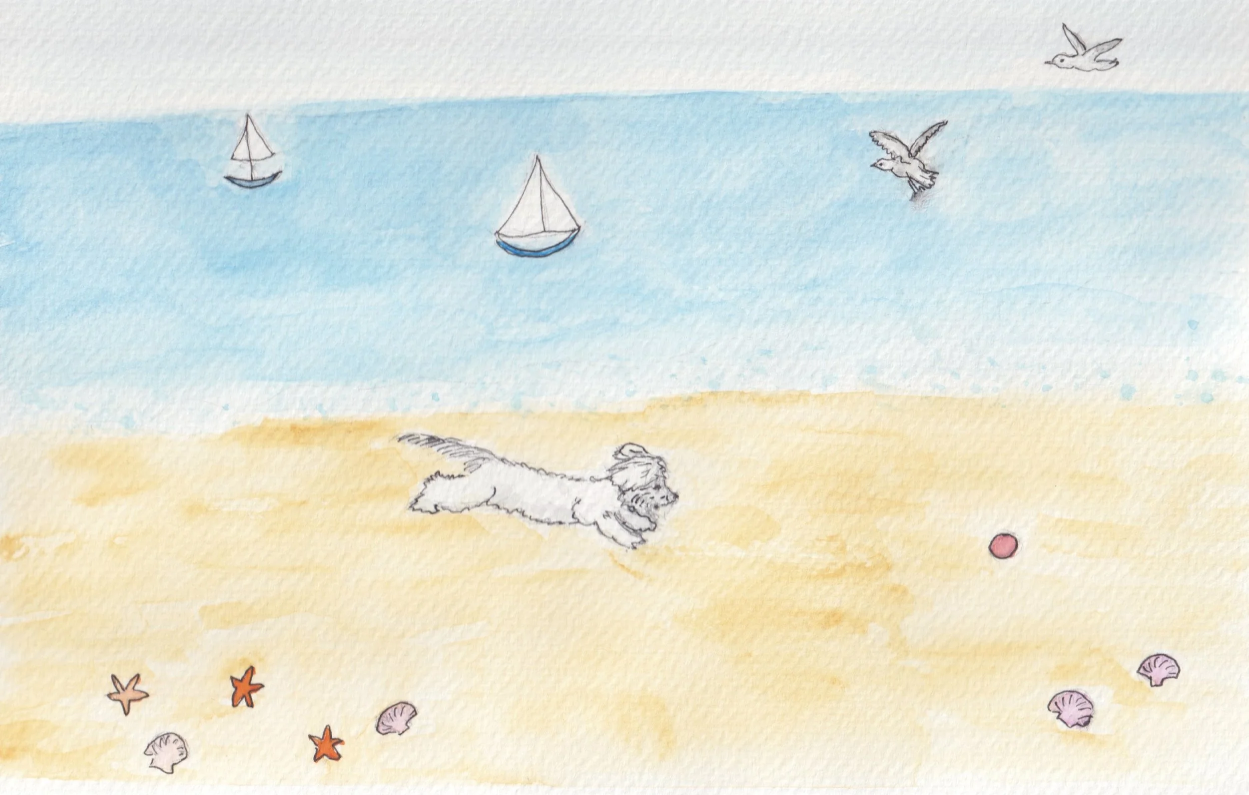 2BOOK IDEA A DAY AT THE SEASIDE.jpeg