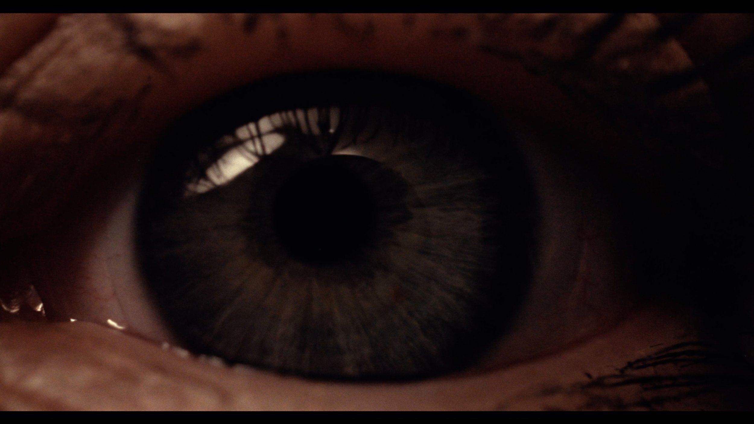 FINAL COLOR.00_02_59_04.Still008.jpg