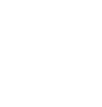 Fritz Logo Mark