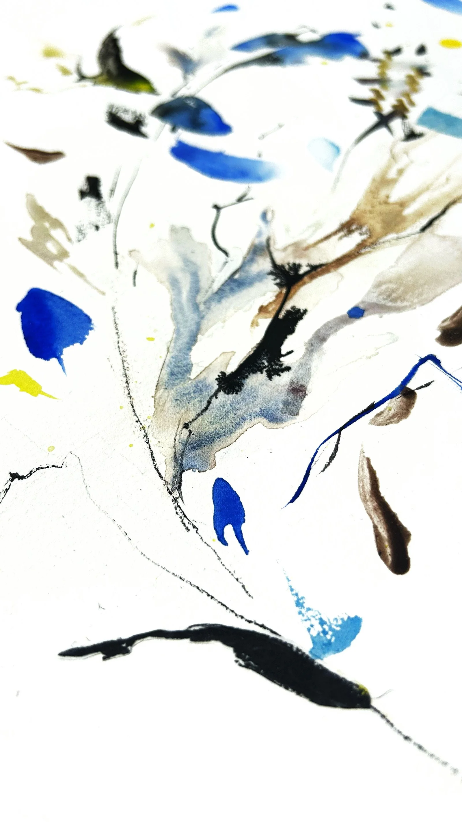 Anna Kalland Mixed MEdia Artwork.jpg