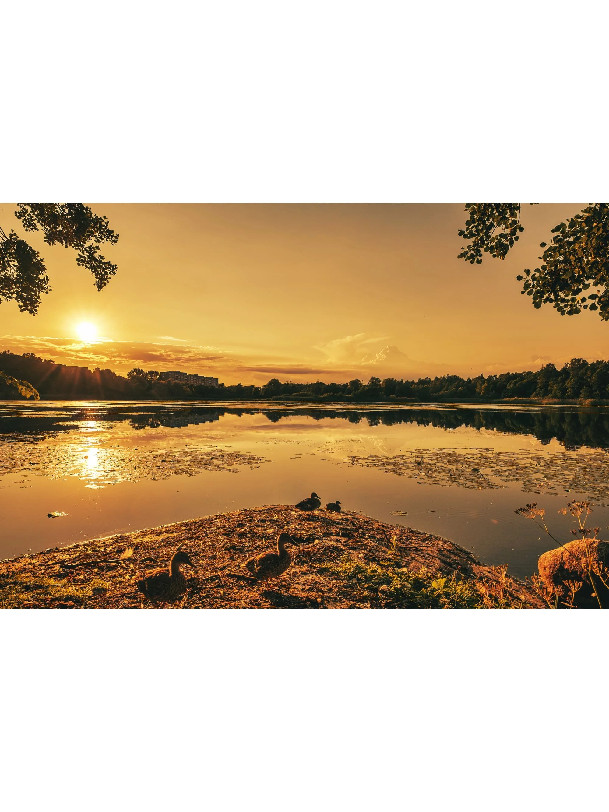 Sundbyberg - Råstasjön 2 - Fine art photography print