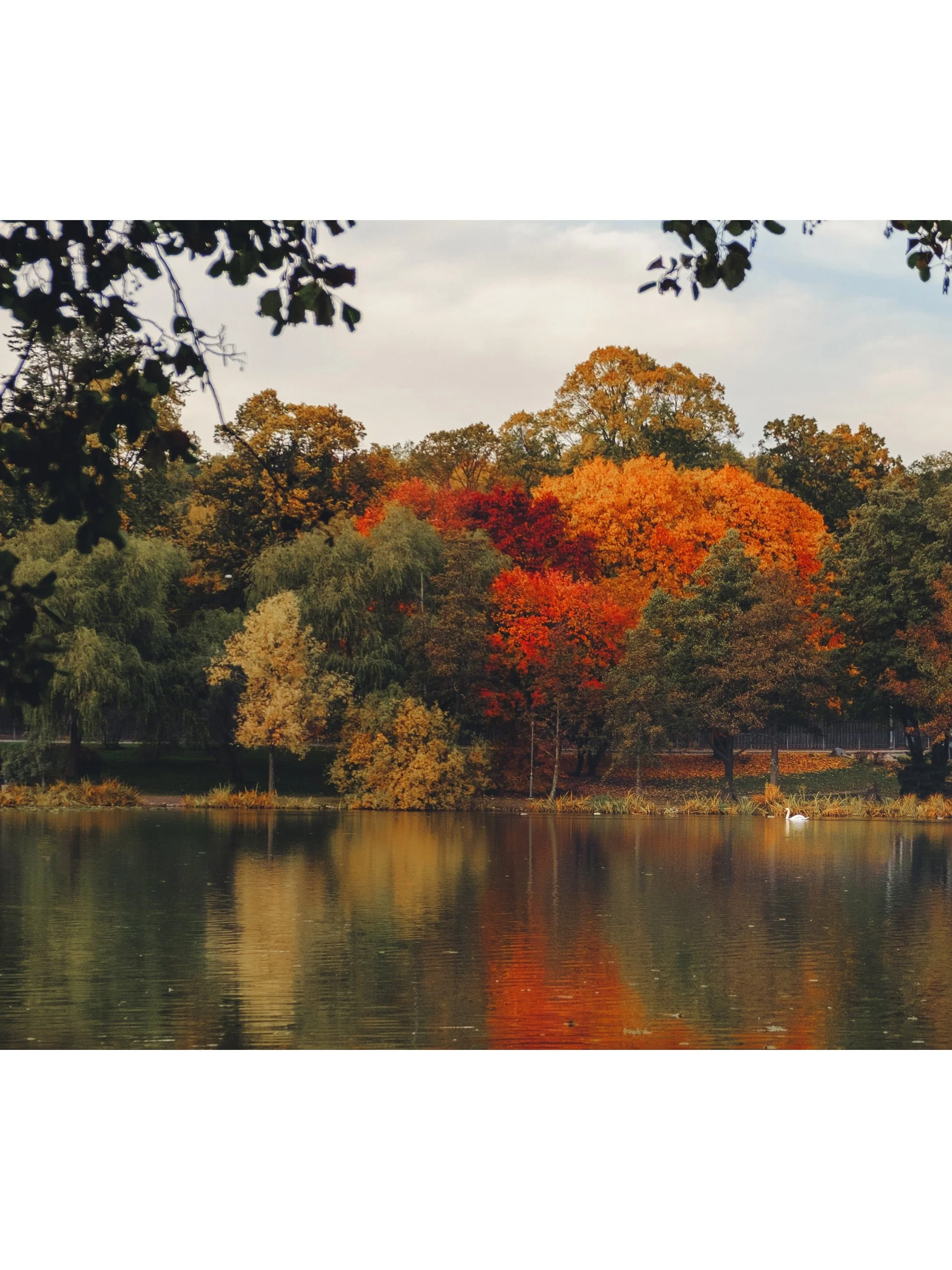 Sundbyberg - Mother's lake (Lötsjön) - Fine art photography print