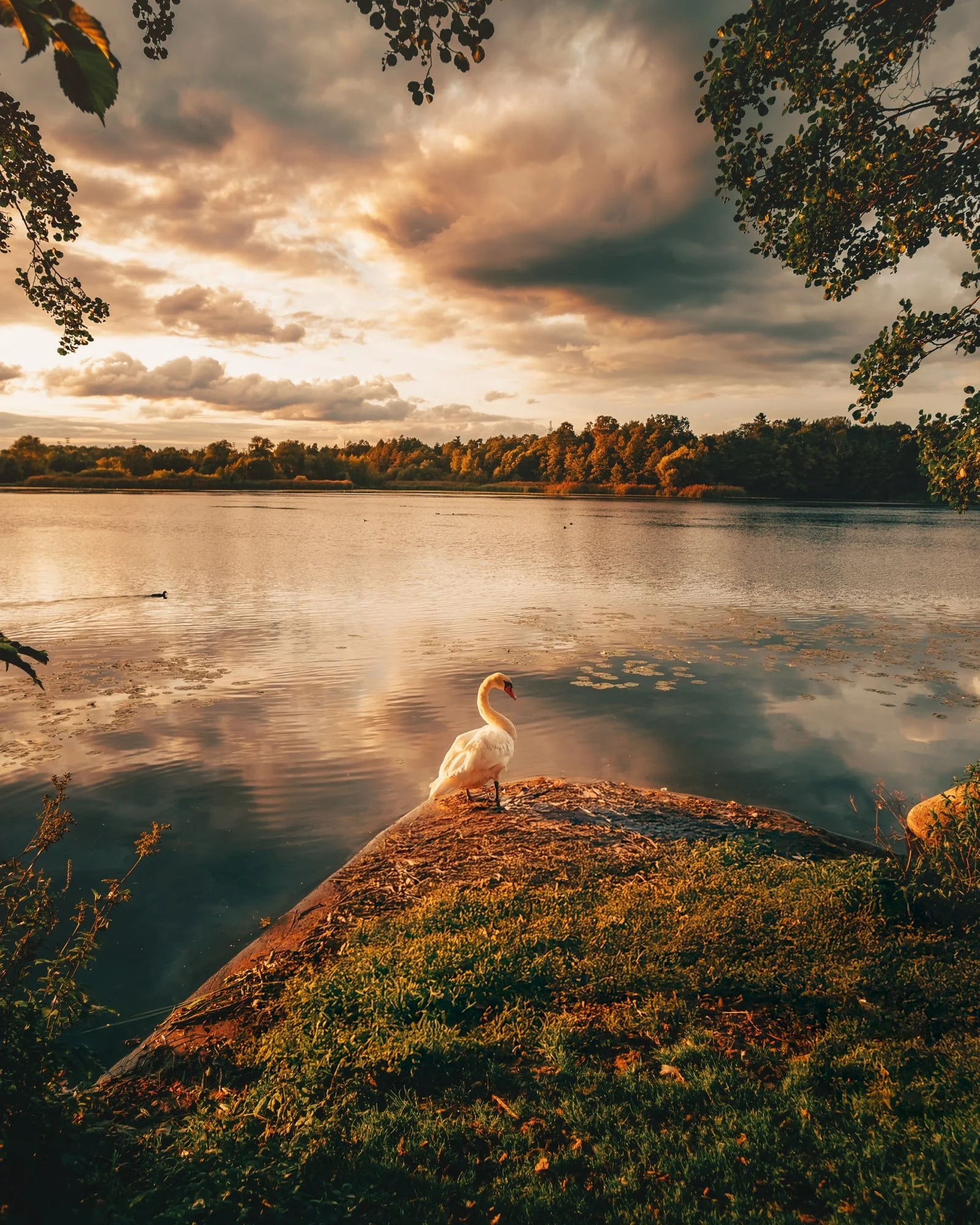 rastasjon-sunset-colors-fine-art-decorative-wall-print-sundbyberg-solna-nature-lake-scenery