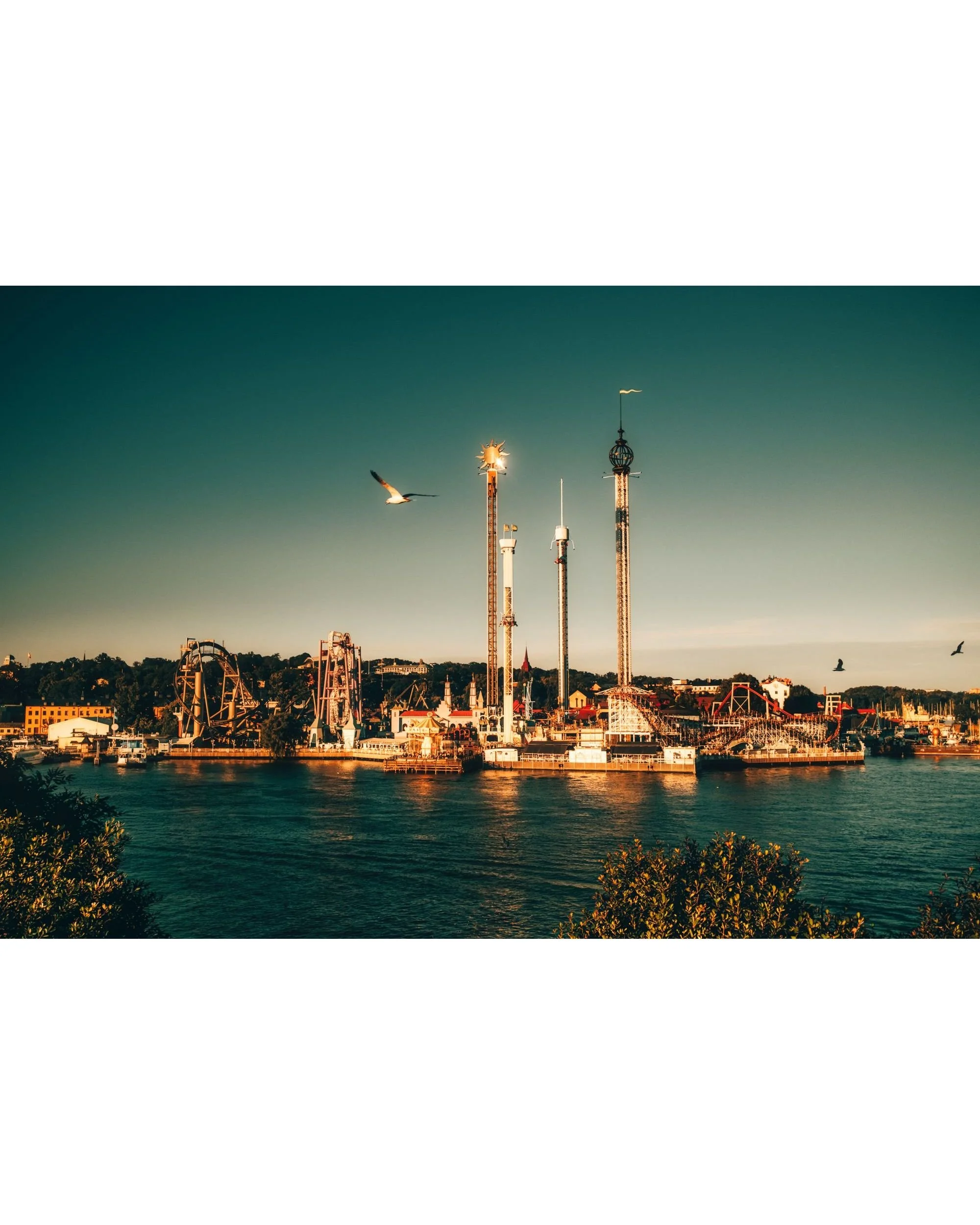 Gröna Lund amusement park skyline at golden hour, Stockholm, Sweden, fine art cityscape photography print with a seagull in flight over the water