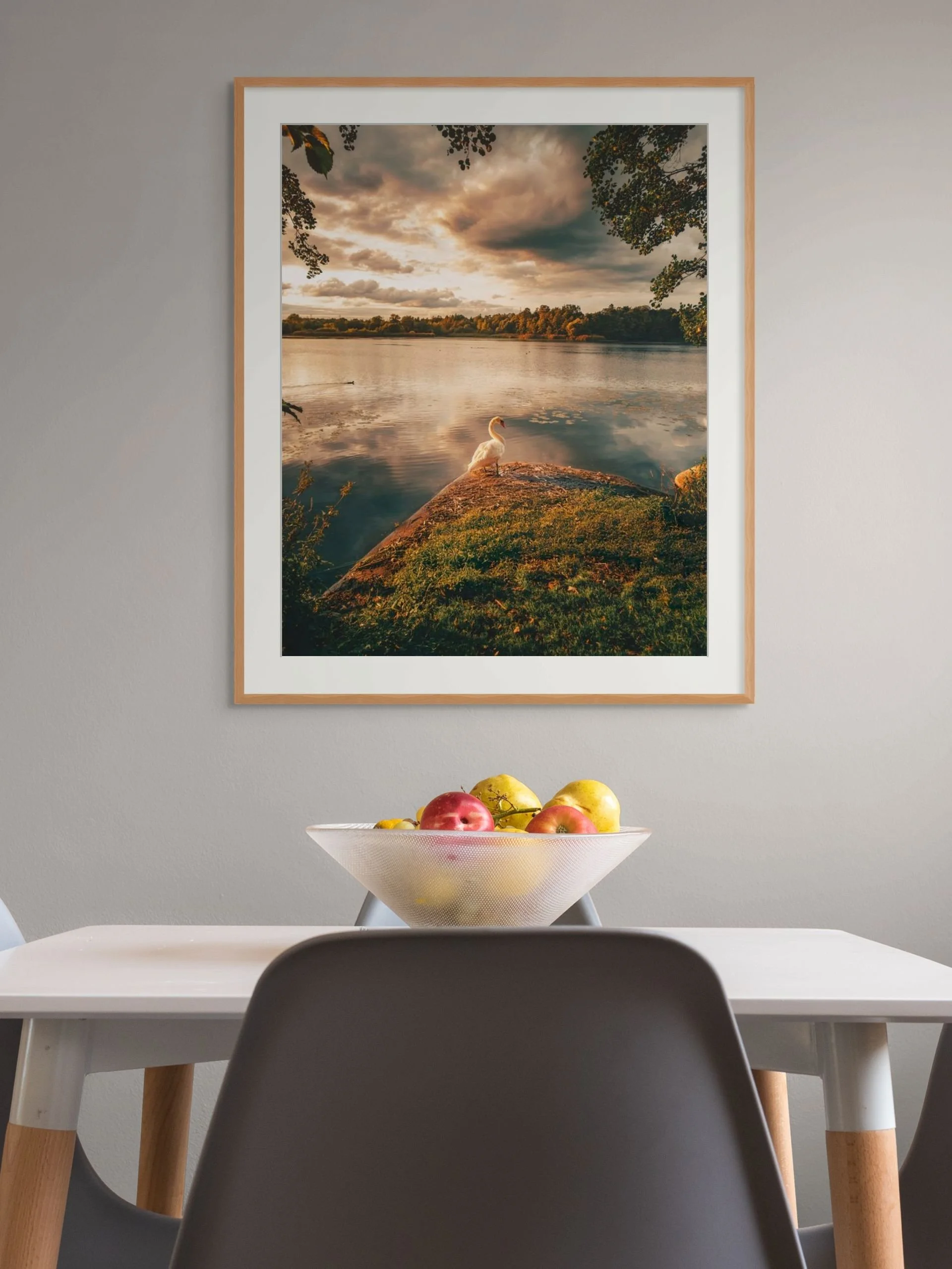 rastasjon 1-medium.jpg