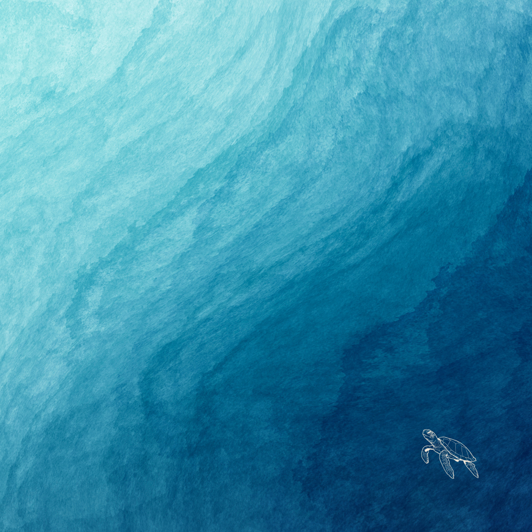 Panquecas e Disponibilidade