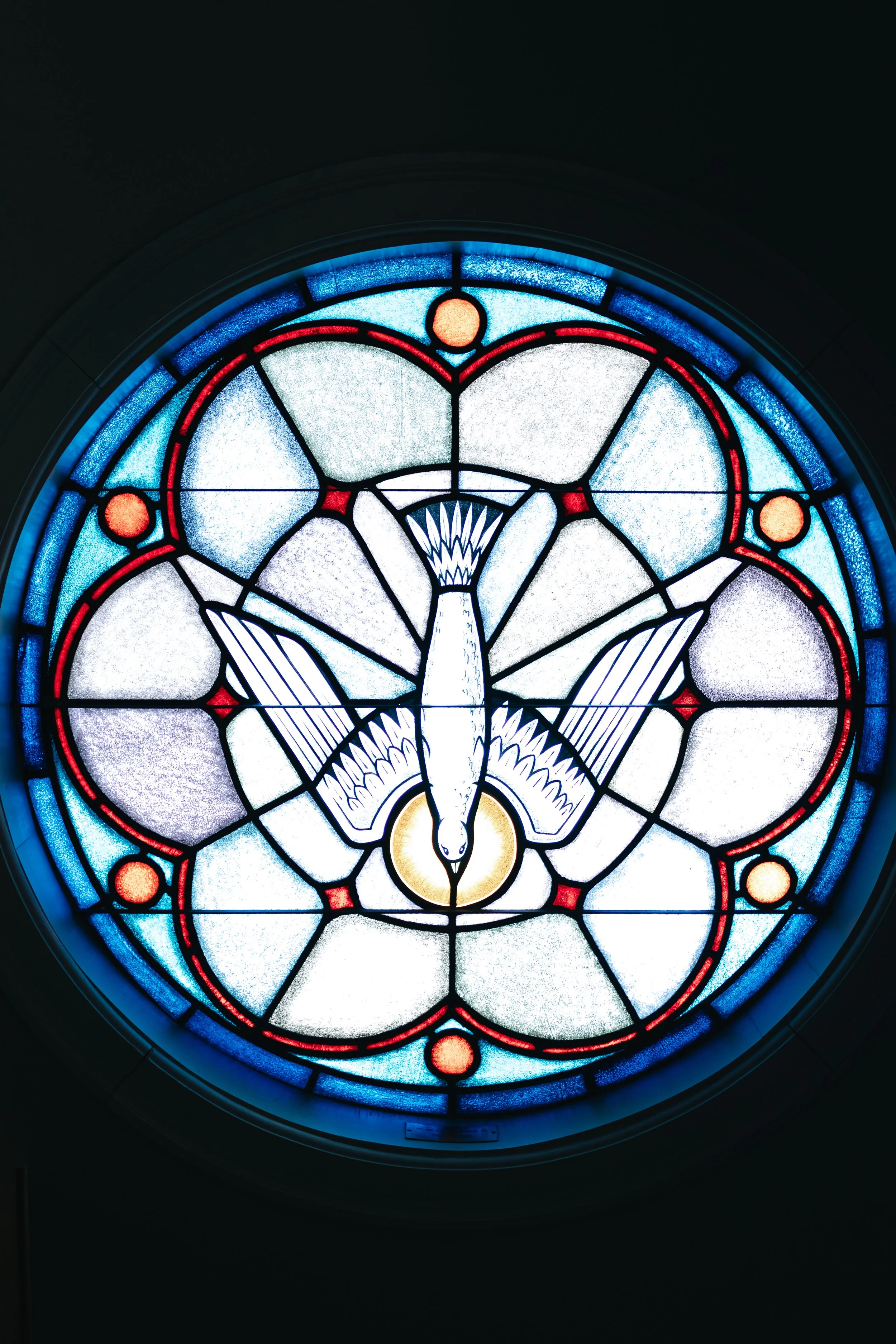 Viva Visuals LLC 2.14.26 Joanna + Samuel - WEDD-3.jpg