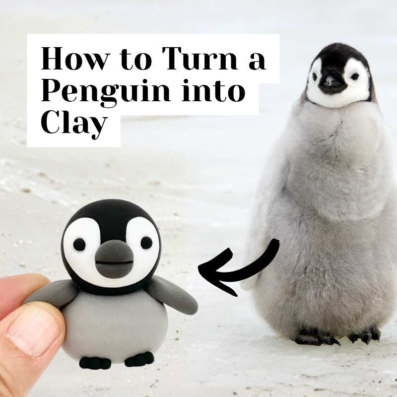 Building a Penguin with Simple Clay Shapes