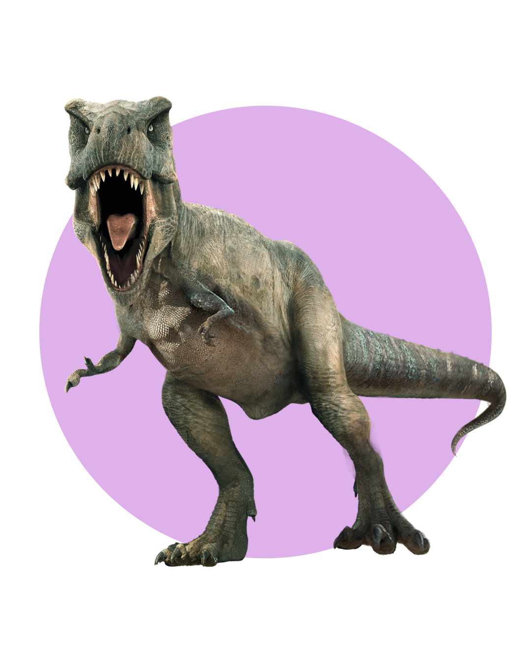 A computer-generated Tyrannosaurus rex with its mouth open, showcasing sharp teeth, standing on its hind legs with small arms, against a purple background.
