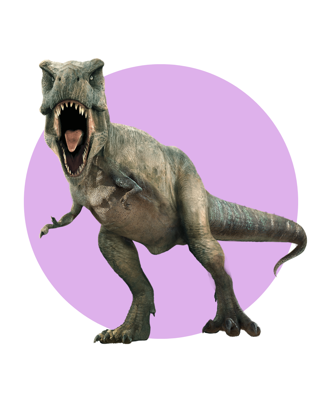real t rex reference image for kids observing shapes before creating air dry clay model